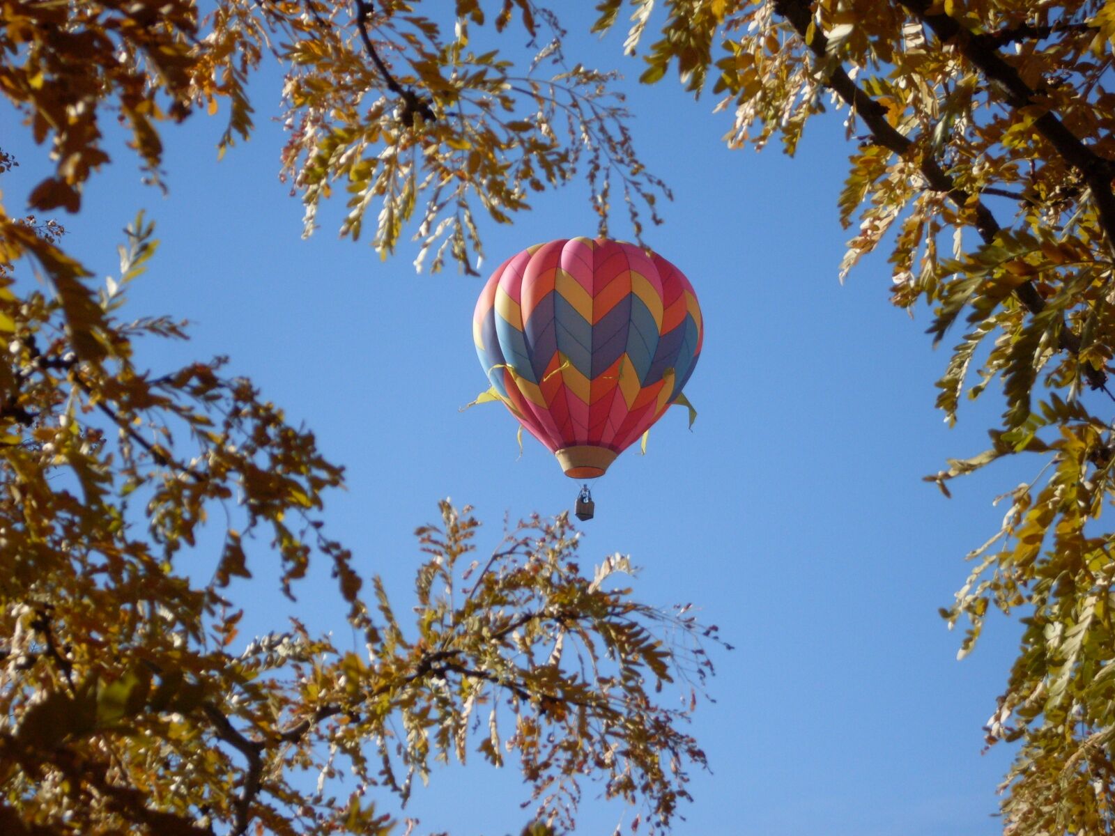 Samsung KENOX S860  / Samsung S860 sample photo. Hot air balloon, sky photography