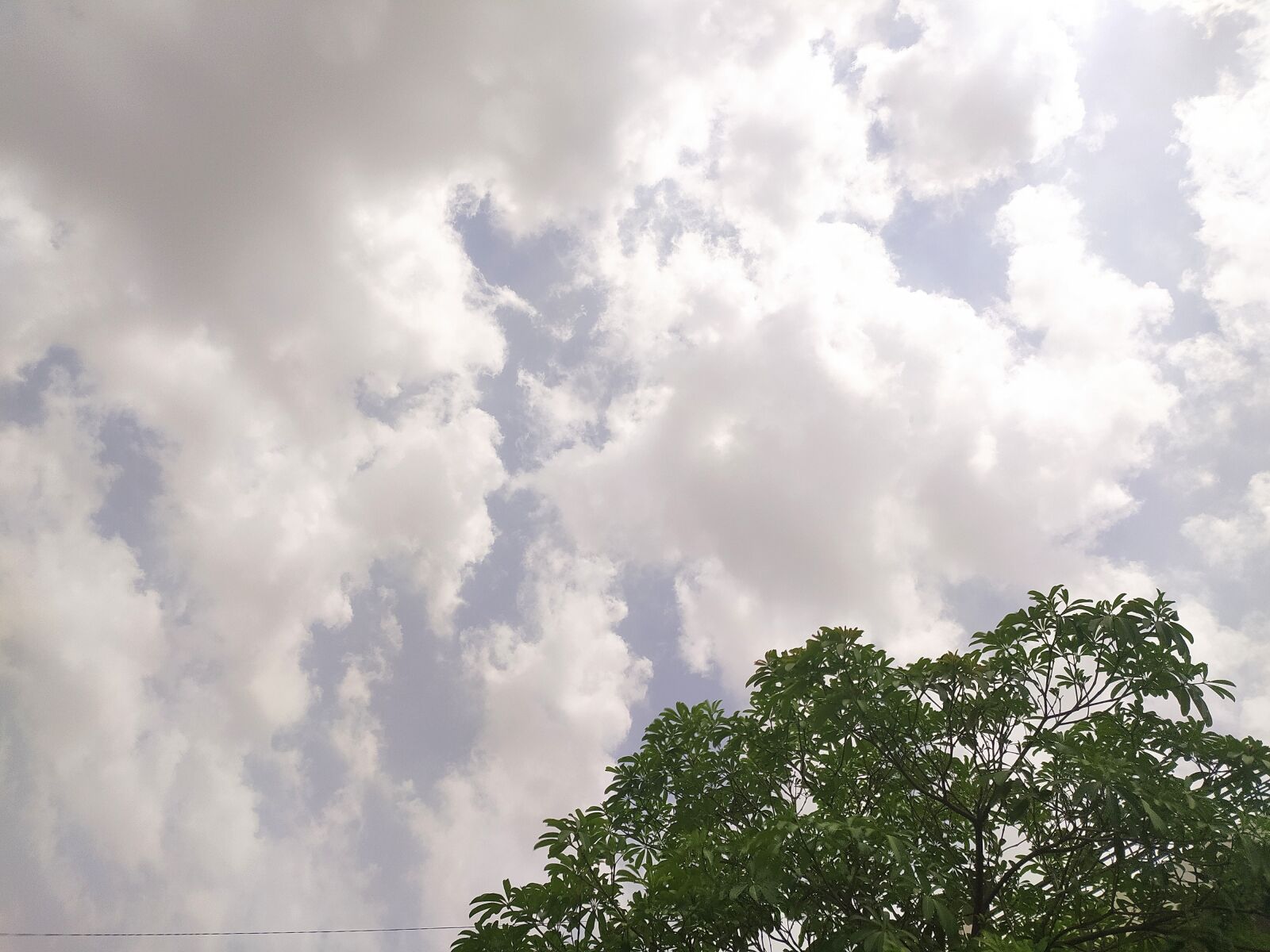Xiaomi Redmi Note 8 sample photo. Nature, miracle, fun photography