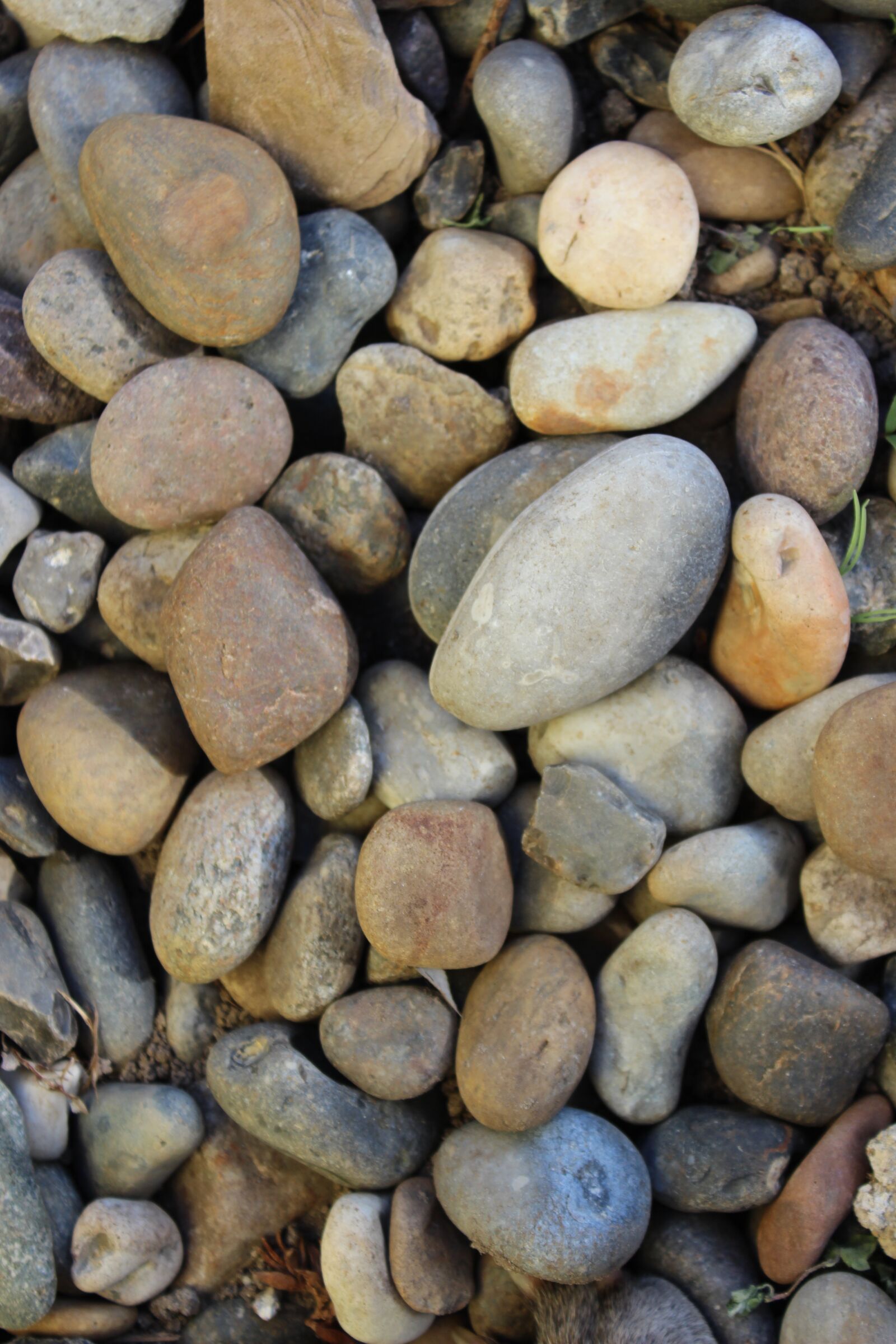 Canon EOS 600D (Rebel EOS T3i / EOS Kiss X5) sample photo. Stones, beach, coast photography