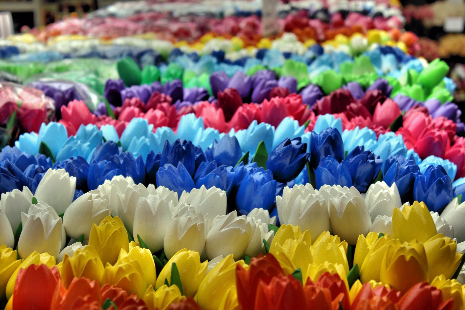 Canon EOS 650D (EOS Rebel T4i / EOS Kiss X6i) sample photo. Amsterdam, flowers, wood photography