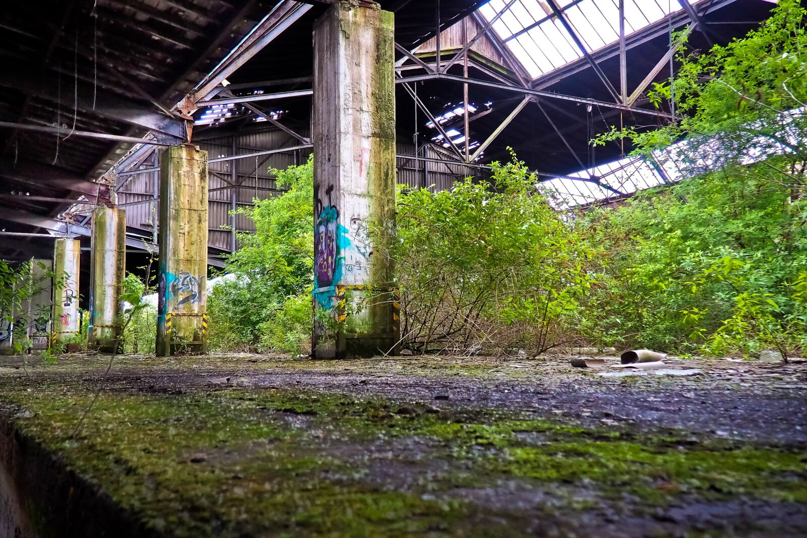 Olympus OM-D E-M10 sample photo. Lost places, old, decay photography