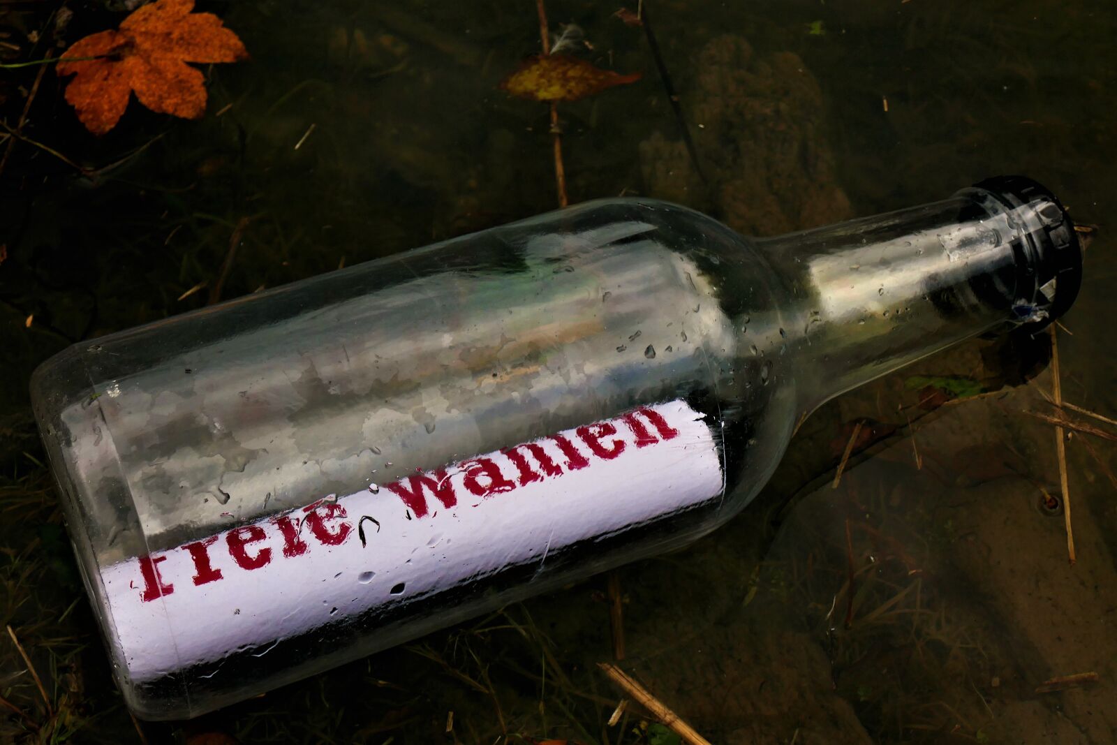 Panasonic DMC-TZ101 sample photo. Message in a bottle photography