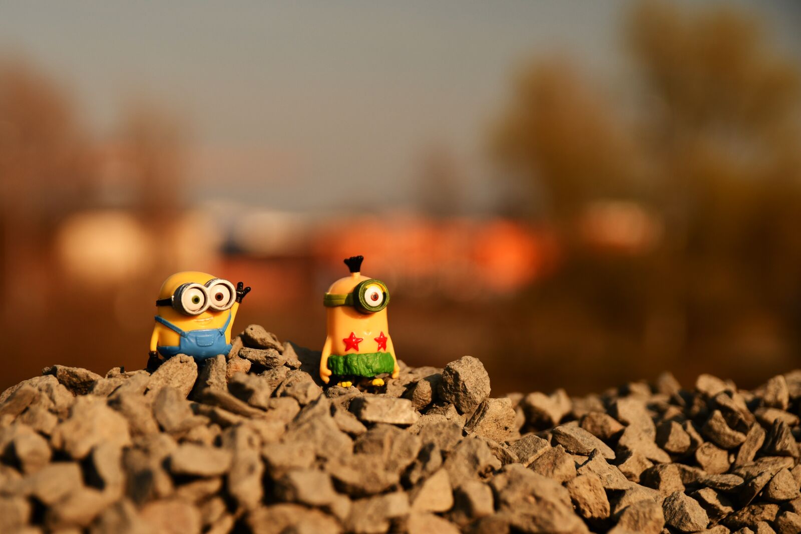 Nikon D7500 sample photo. Minion, funny, toys photography
