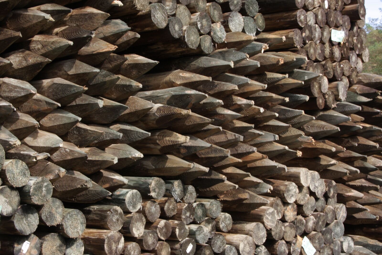 Canon EOS 40D sample photo. Wood, timberyard, fence posts photography