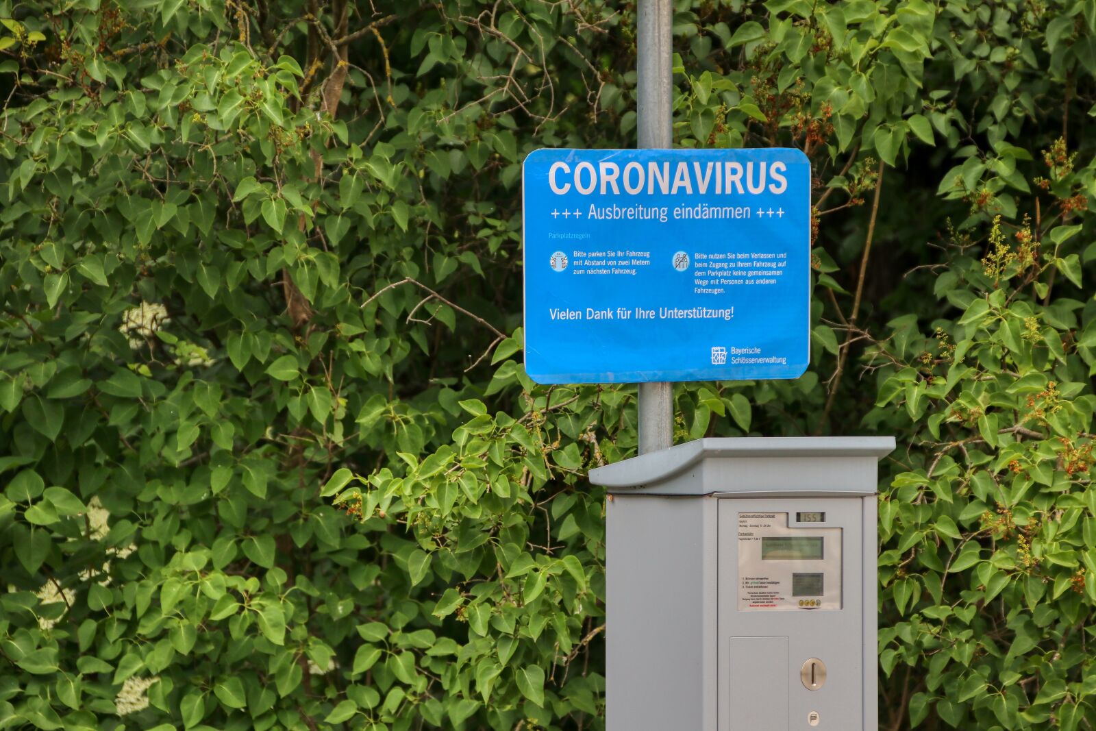 Canon EOS 80D sample photo. Corona, coronavirus, virus photography