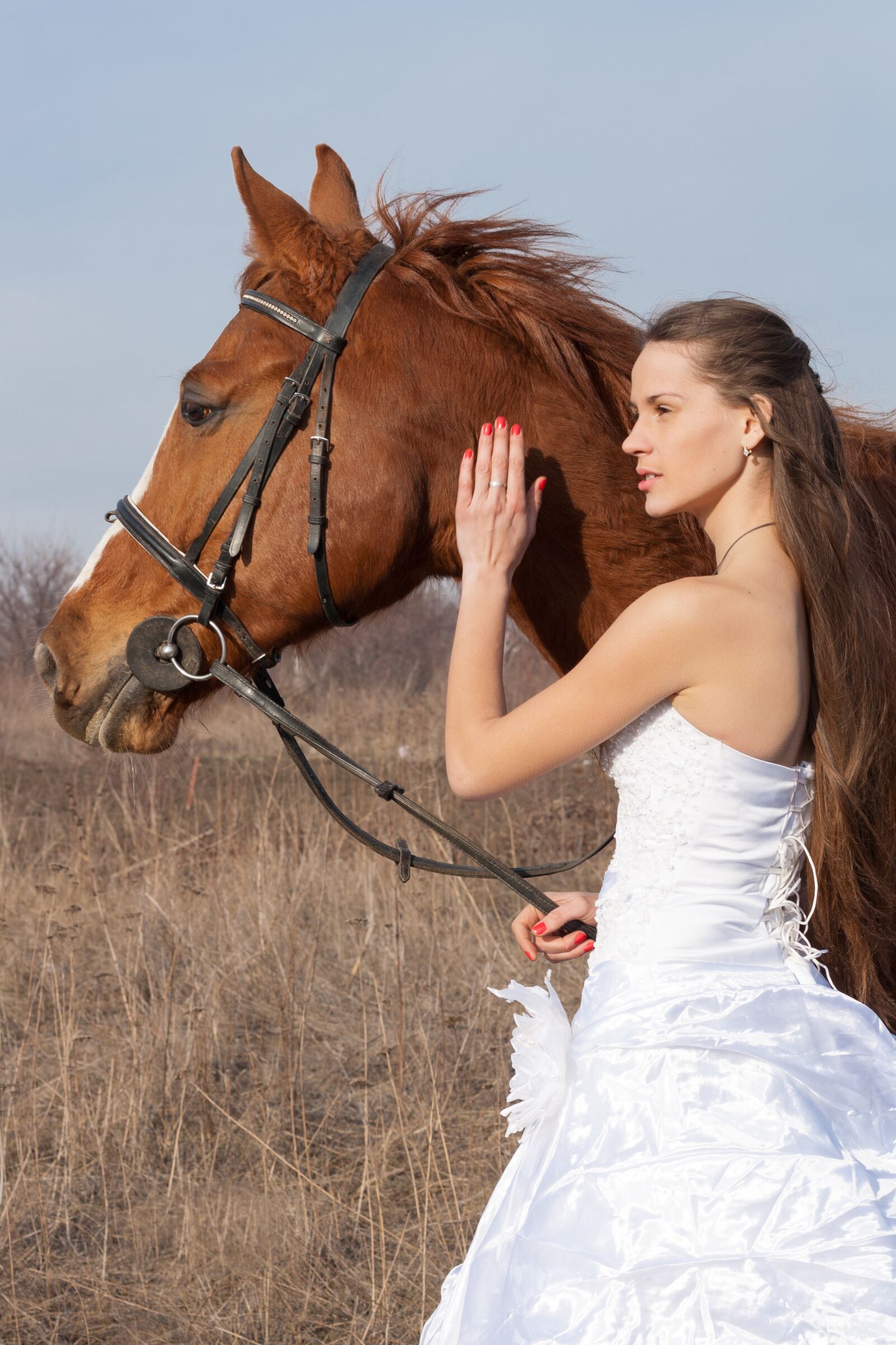 Canon EF 50mm F1.4 USM sample photo. Horse, wedding dress, field photography