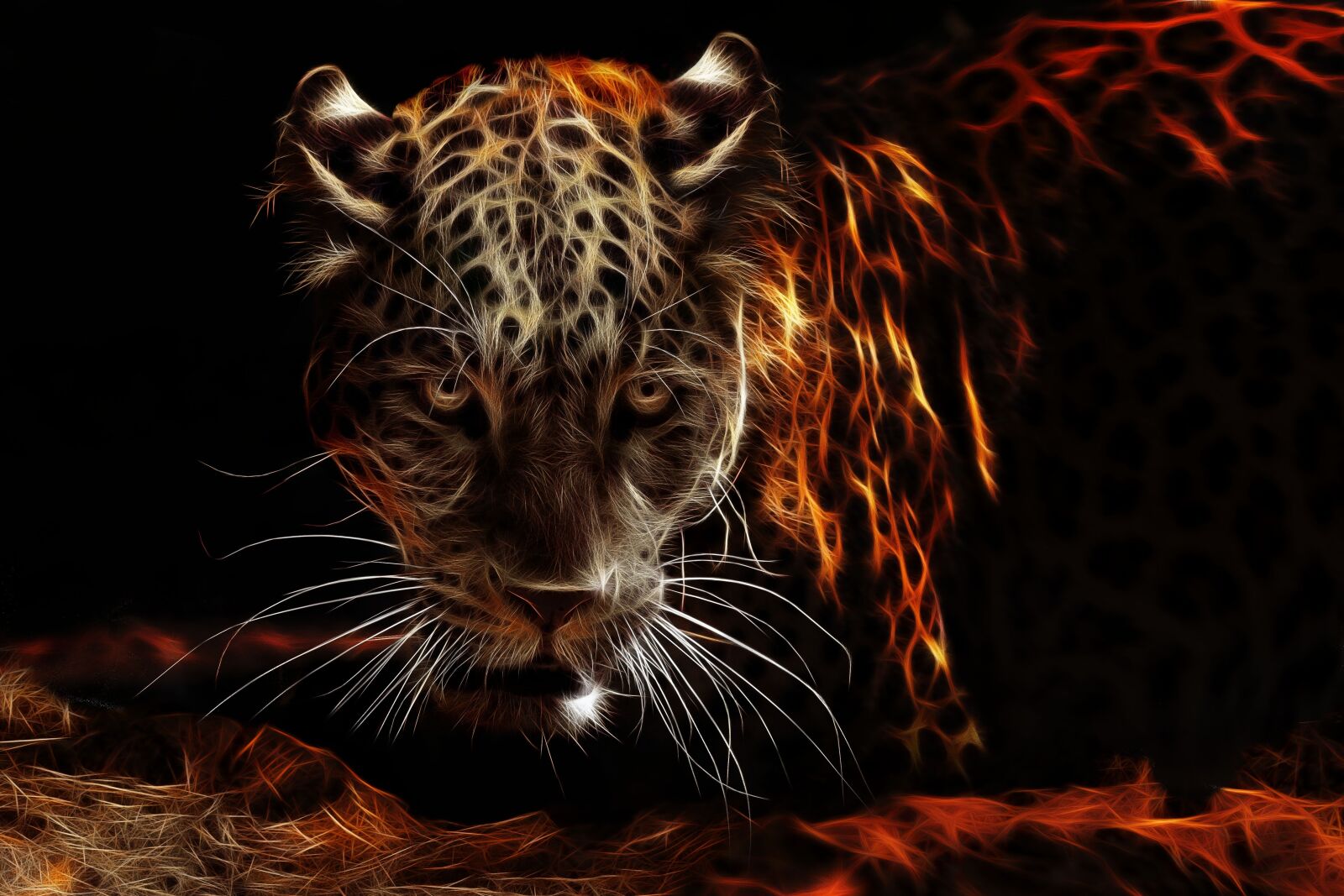 Canon EOS 80D sample photo. Jaguar, fractalius, fiery photography