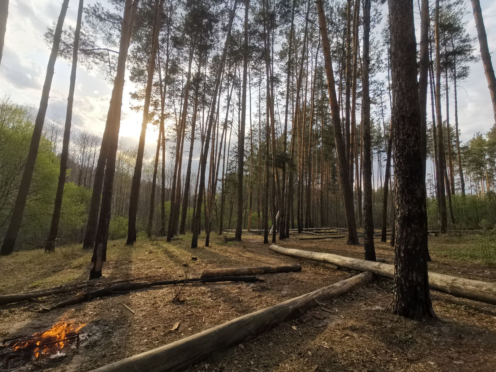 HUAWEI YAL-L41 sample photo. Wood, forest, fire photography