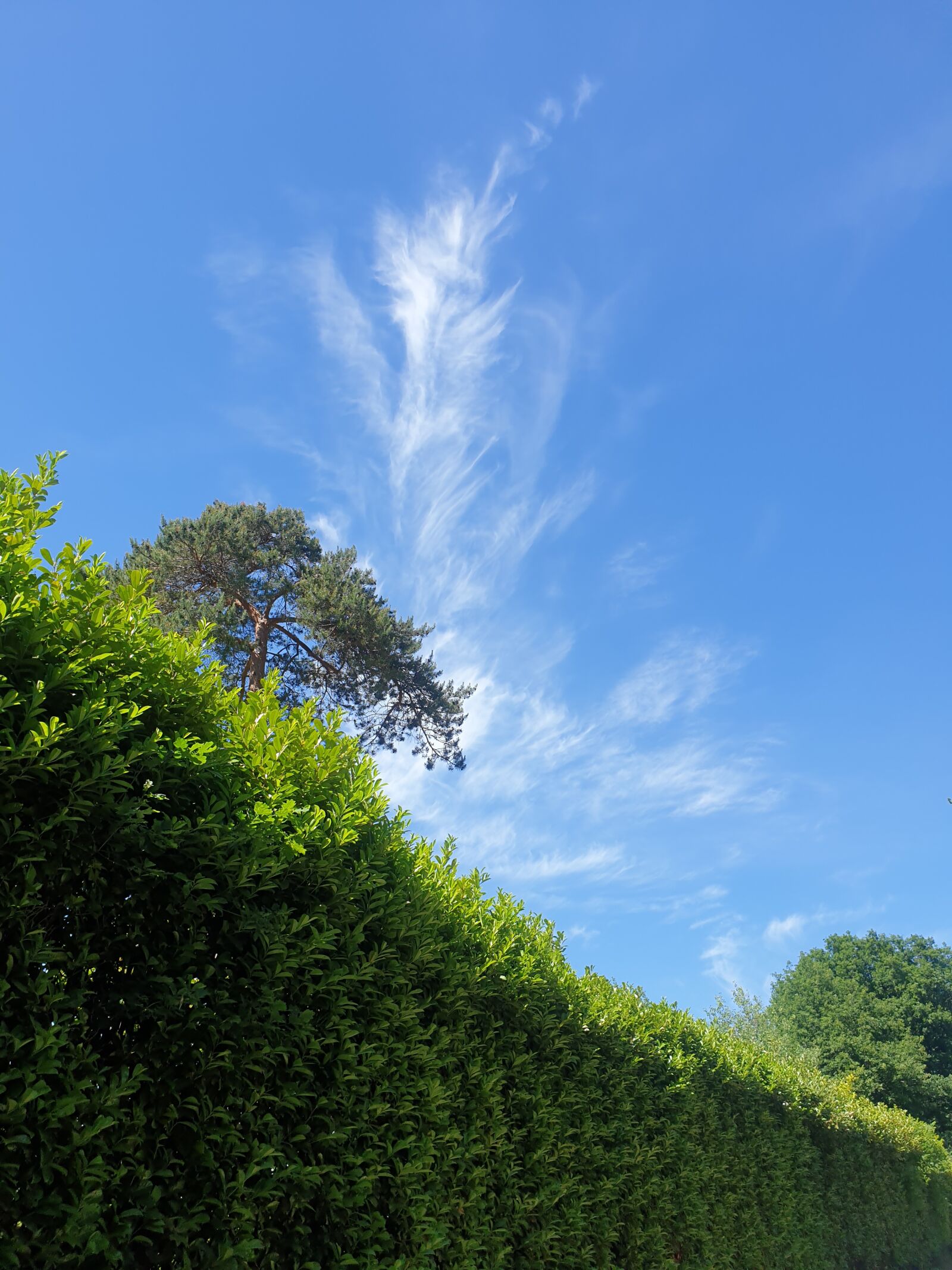 Samsung Galaxy S9+ sample photo. Nature, sky, clouds photography