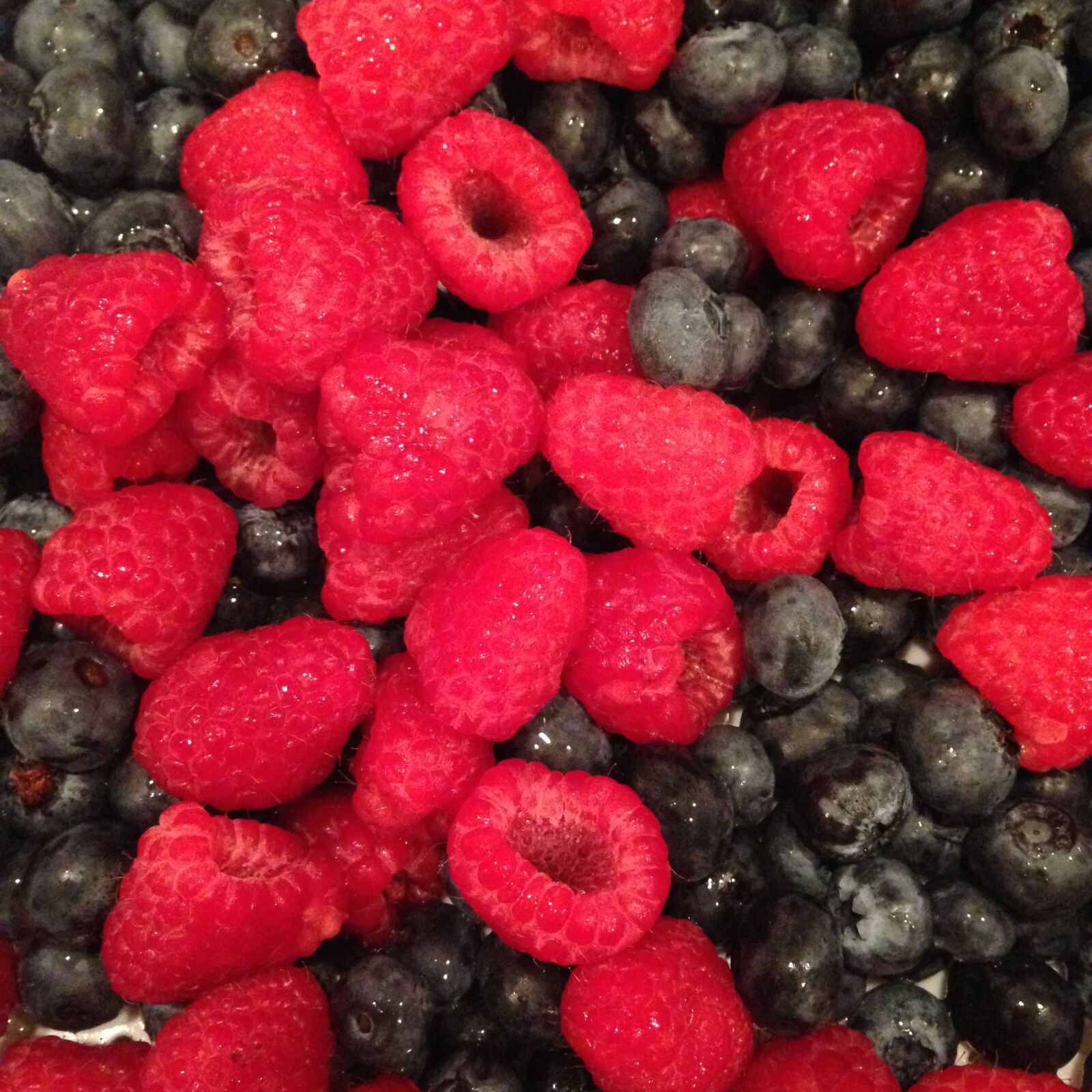 Apple iPhone 5c sample photo. Berries, blueberries, blueberry, food photography