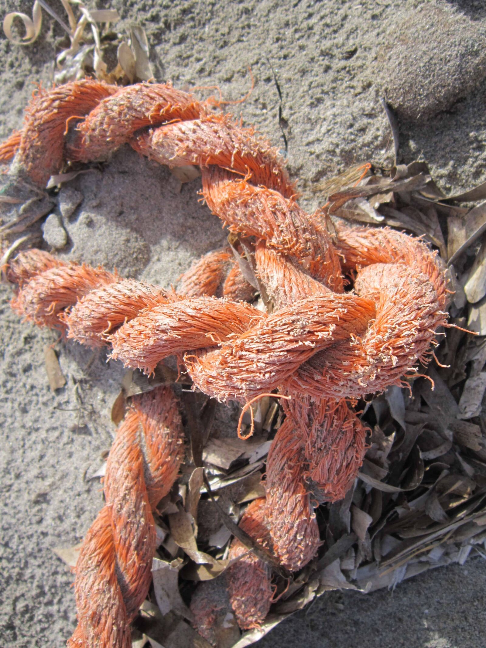 Canon PowerShot A3200 IS sample photo. Rope, sand, object, shore photography