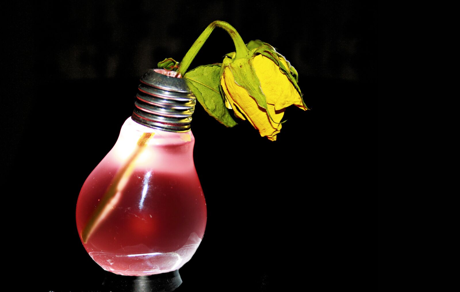 Canon EOS 1000D (EOS Digital Rebel XS / EOS Kiss F) sample photo. Electro smoke, rose, withered photography