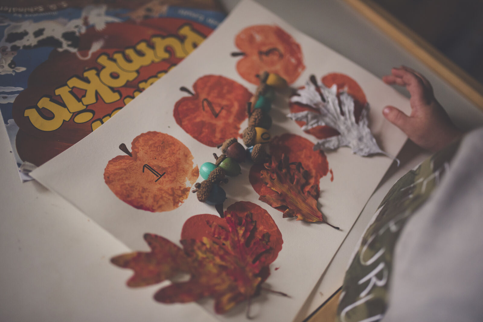 Sigma 35mm F1.4 DG HSM Art sample photo. Red, apple, illustration photography