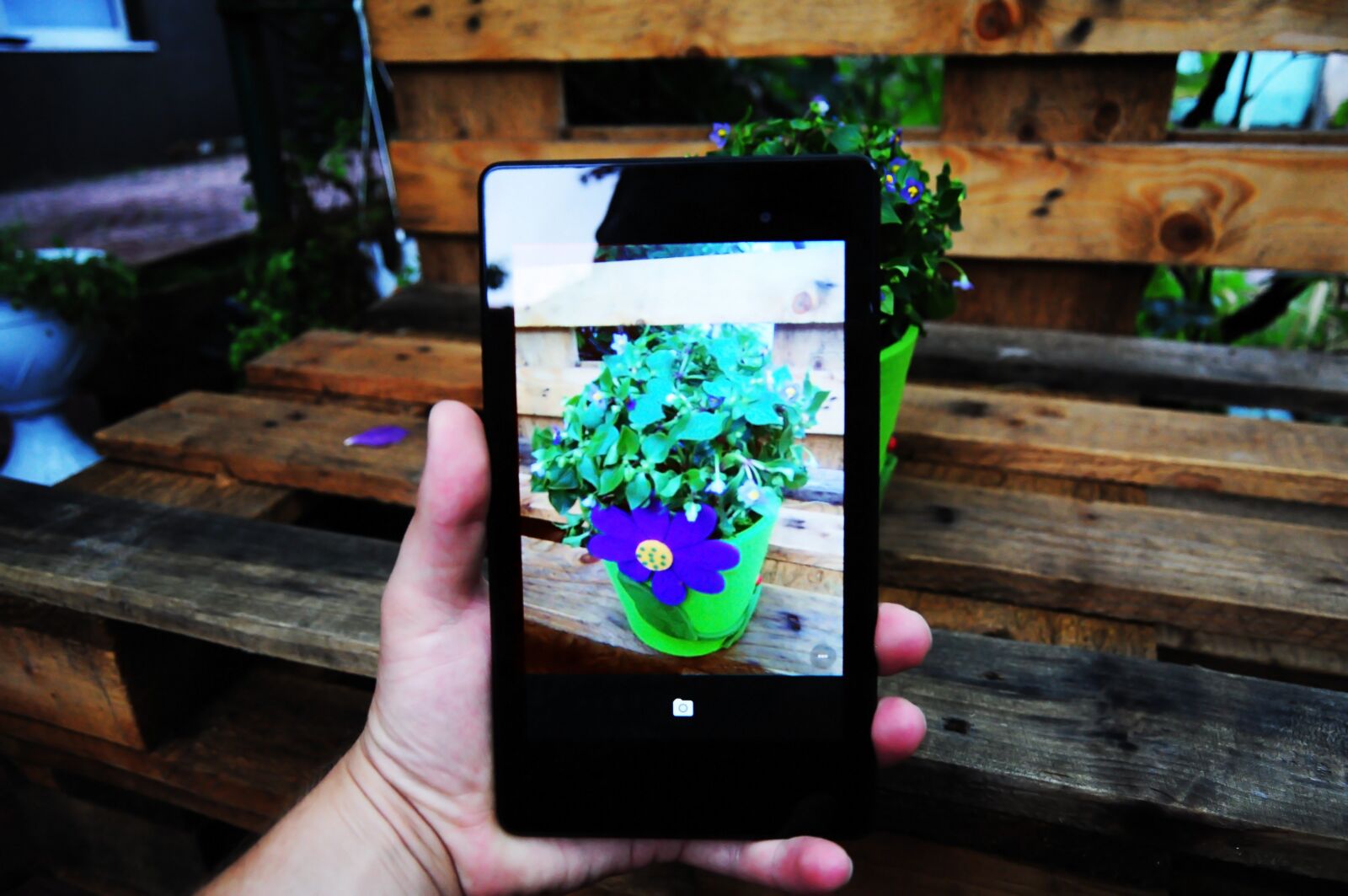 Nikon D5000 sample photo. Photo tablet, landscape, flowers photography
