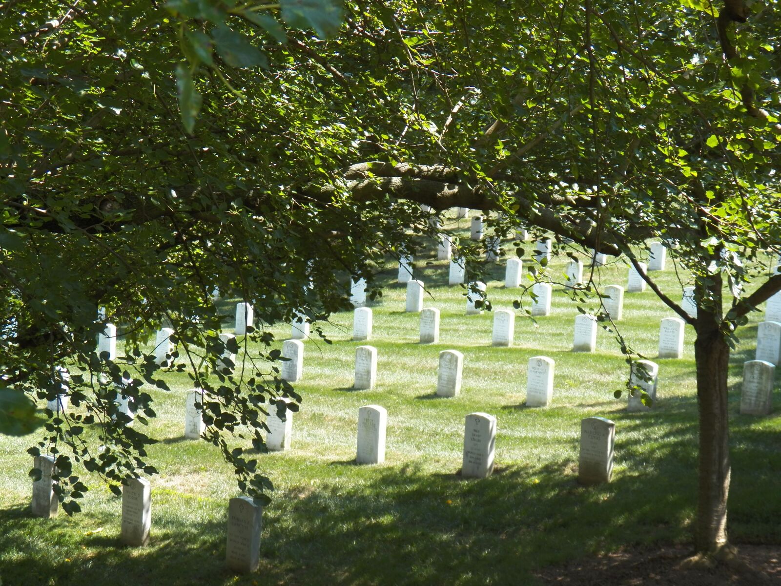 Kodak EasyShare Z990 (EasyShare Max) sample photo. Arlington national cemetery, honor photography