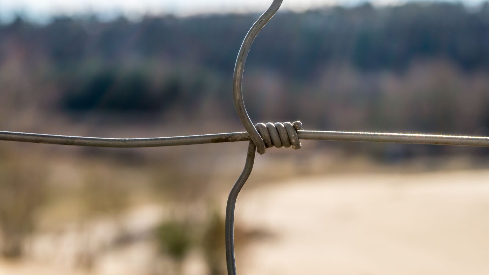 Sony Alpha a5000 (ILCE 5000) sample photo. Close up, wire, metal photography
