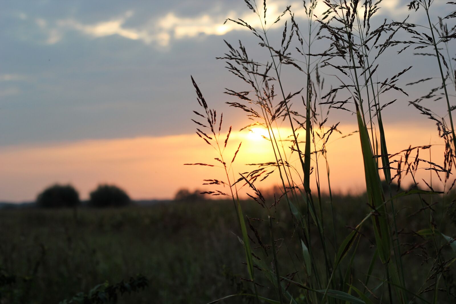 Canon EOS 550D (EOS Rebel T2i / EOS Kiss X4) sample photo. Sunset, evening, sunshine photography
