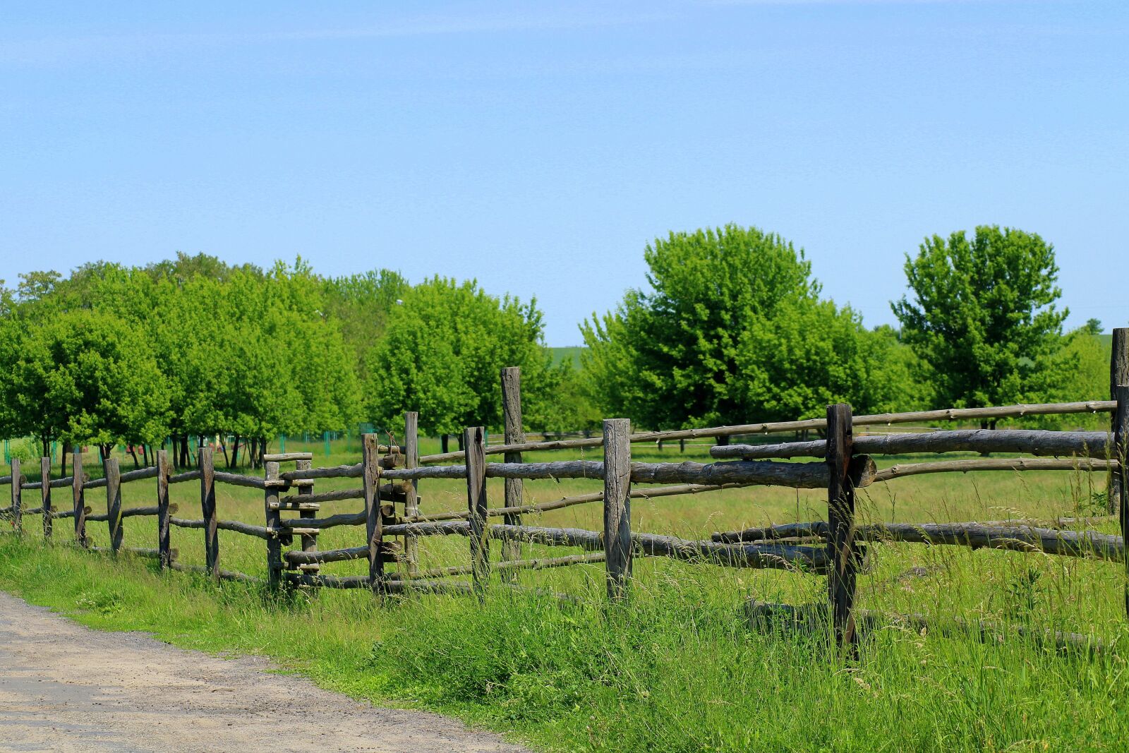 Canon EOS 1200D (EOS Rebel T5 / EOS Kiss X70 / EOS Hi) sample photo. Fencing, wooden fence, barrier photography