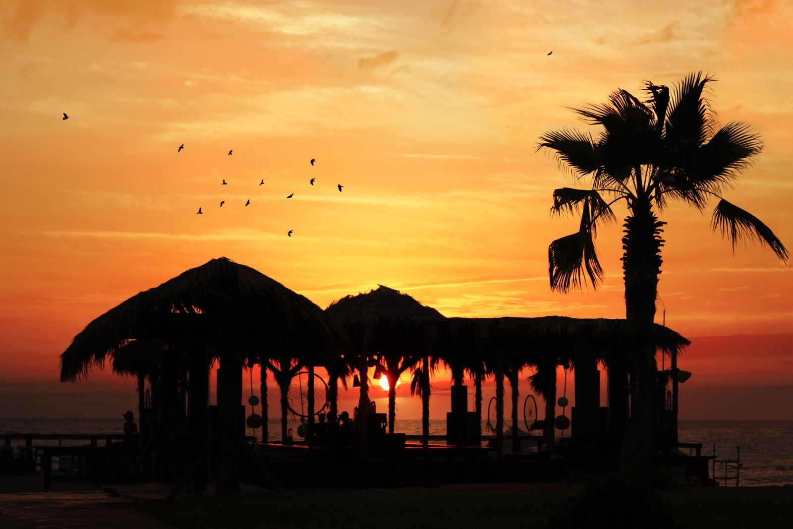 Canon EOS 550D (EOS Rebel T2i / EOS Kiss X4) sample photo. Sunset, beach, red photography