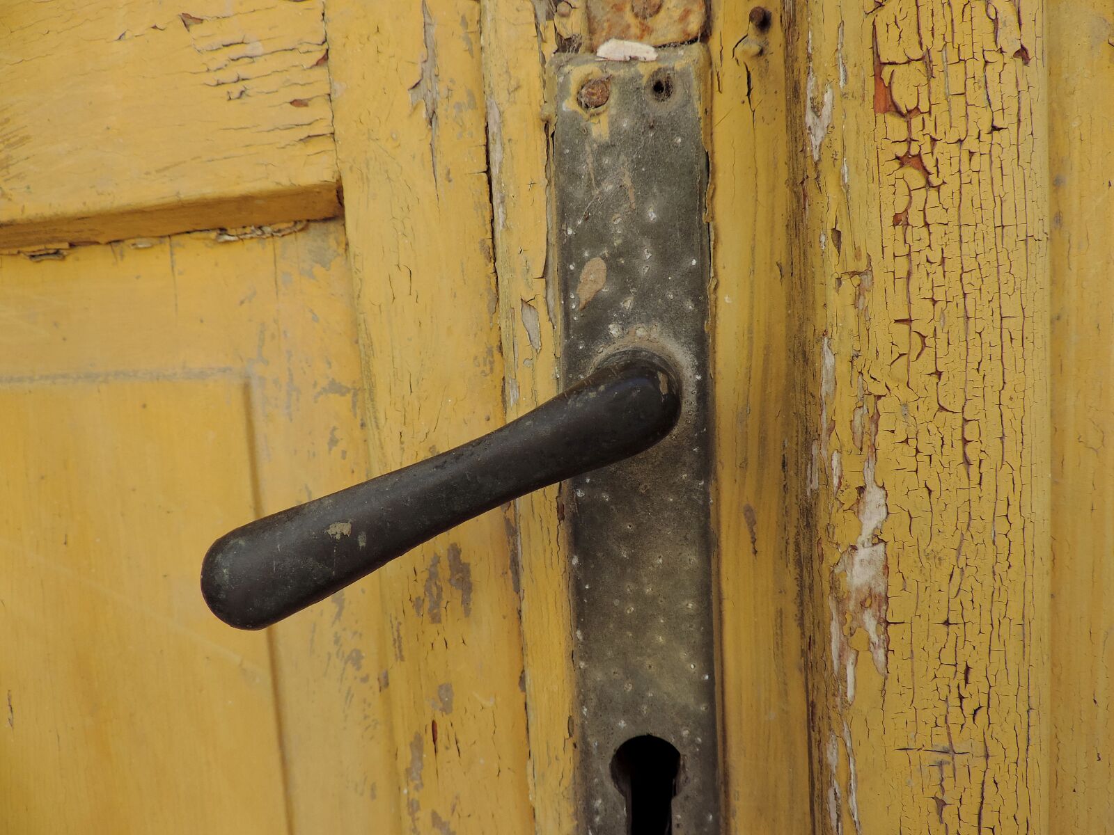 Nikon Coolpix P520 sample photo. Front door, wood, old photography