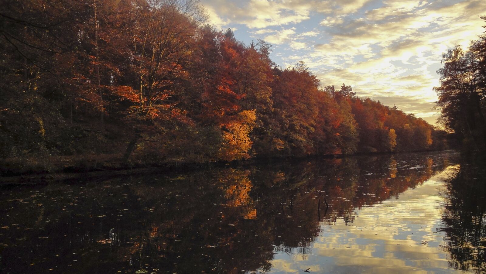 Sony Cyber-shot DSC-WX1 sample photo. Autumn, colorful, golden autumn photography