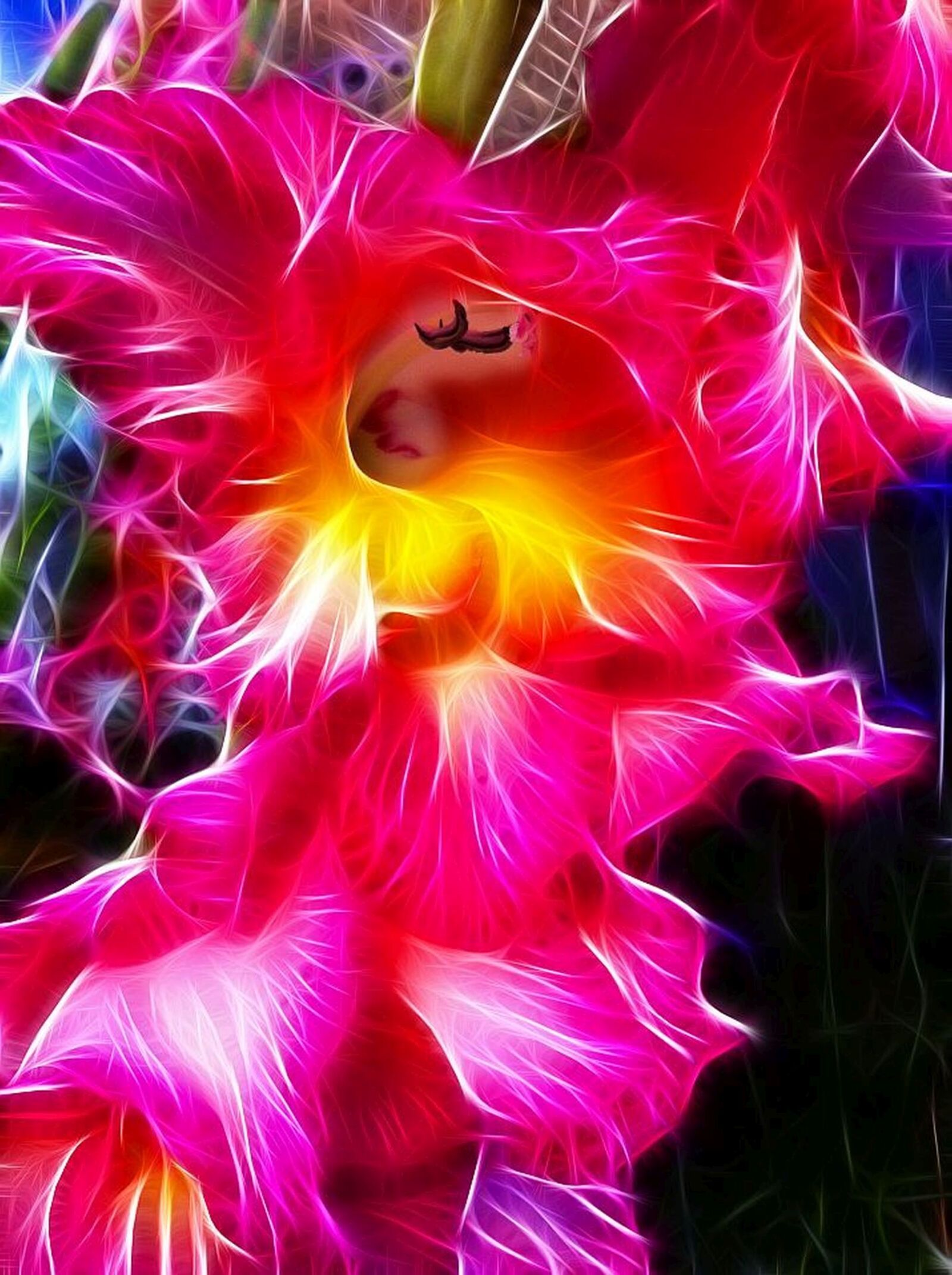 Apple iPhone 4 sample photo. Fractalius, gladiolus, image editing photography