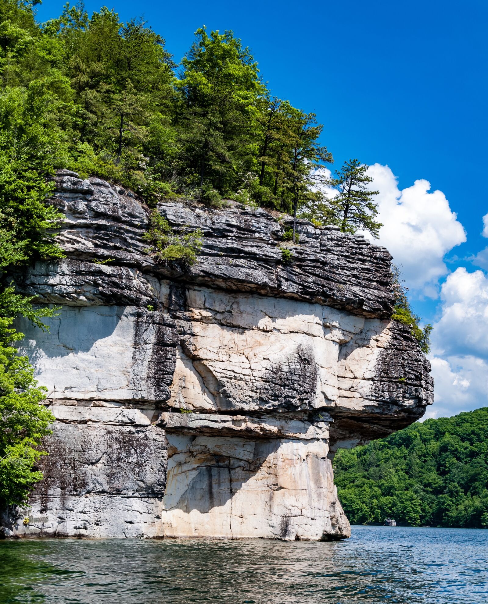 Nikon D90 sample photo. Summersville lake, wv, west photography