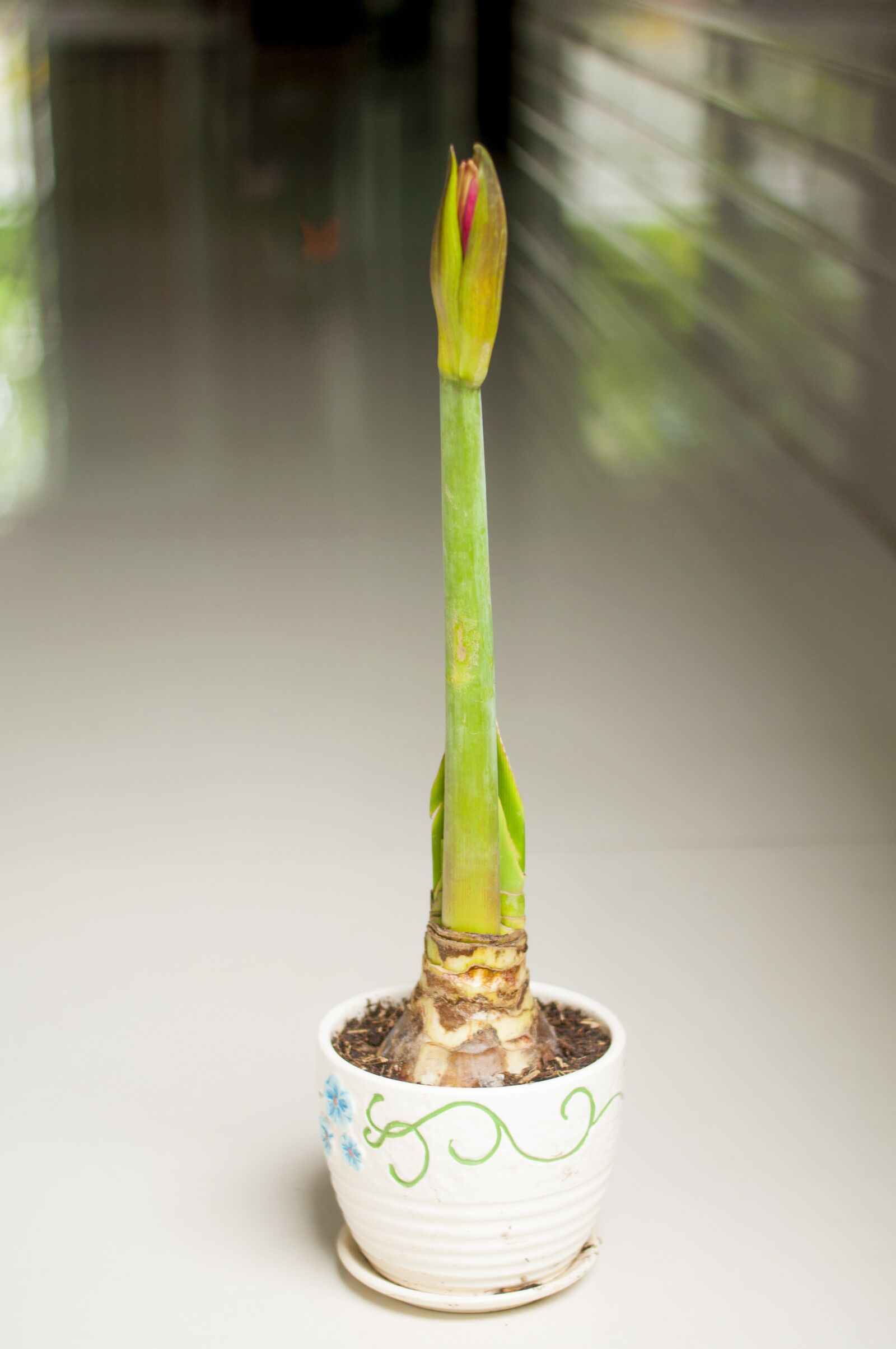 Nikon D90 sample photo. Hue, rolling, female photography