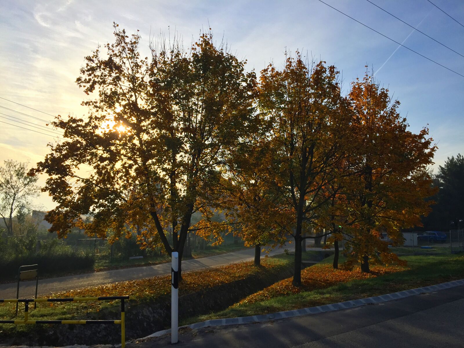 Apple iPhone 6 sample photo. Autumn, nature, naturephoto, color photography