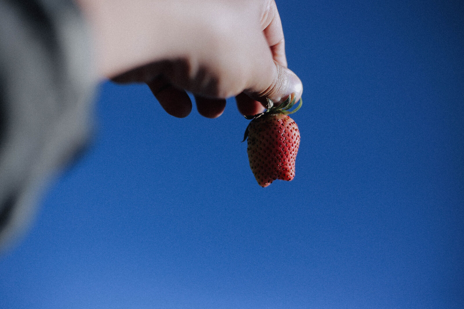 Canon EOS 6D + Canon EF 50mm F1.8 STM sample photo. Cherry photography