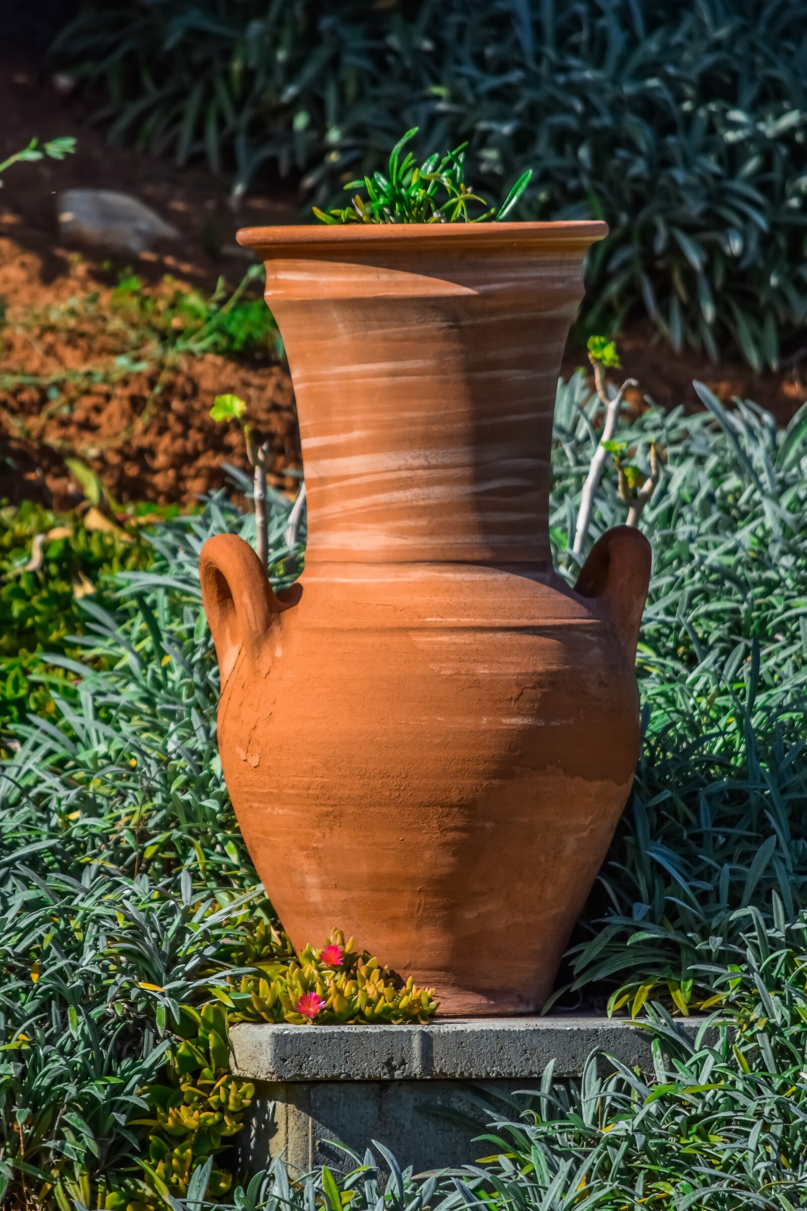 Nikon D3300 sample photo. Pottery, garden, pot photography