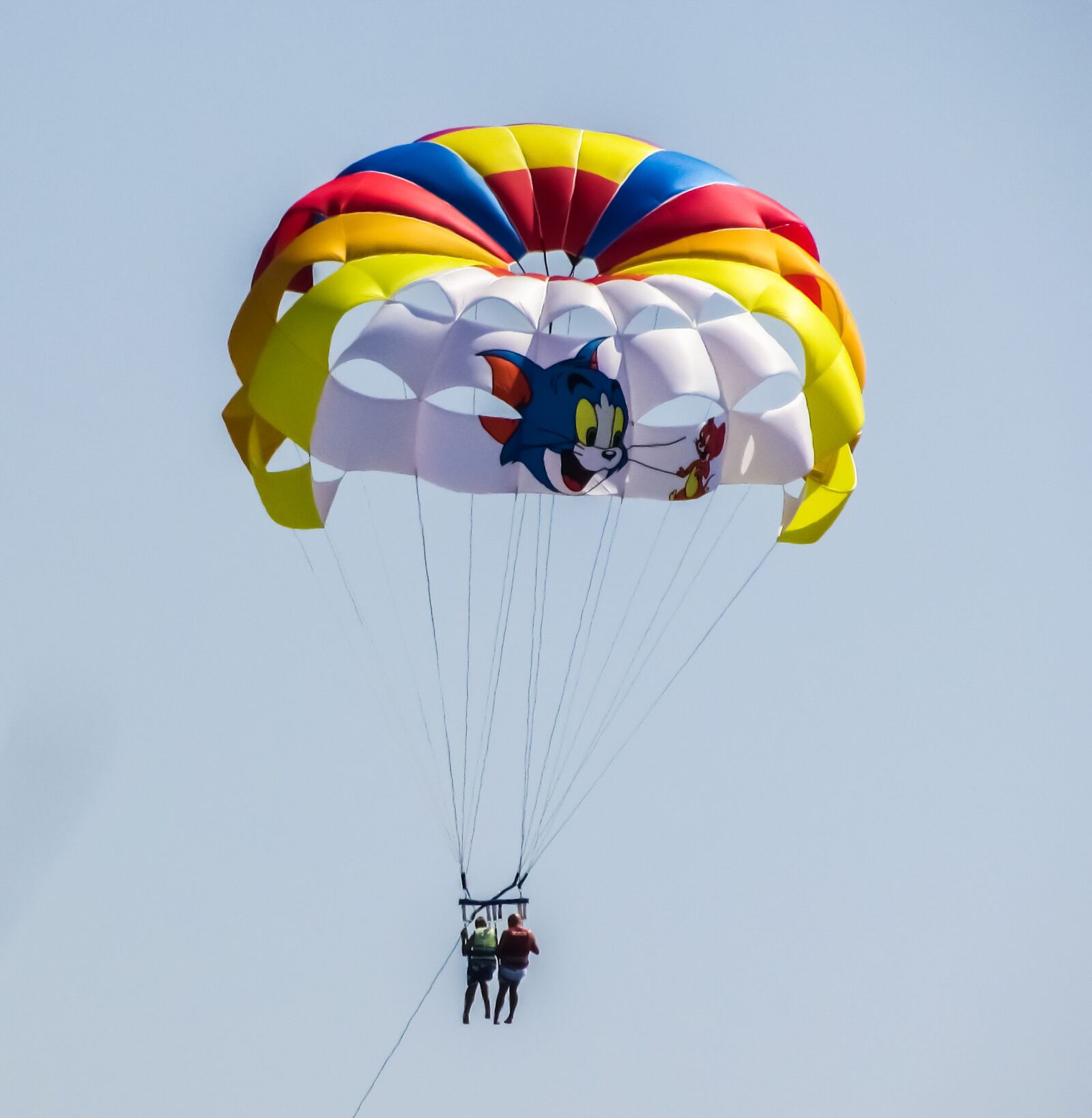 Canon PowerShot SX400 IS sample photo. Parachute, paragliding, cat and photography