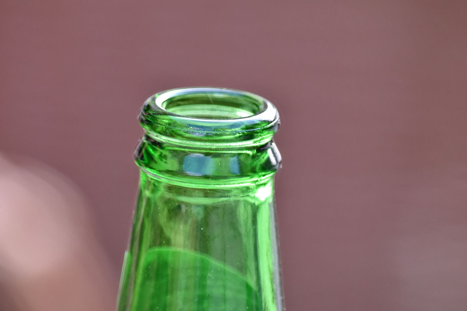 Nikon D5500 sample photo. Close-up, greenish yellow, top photography