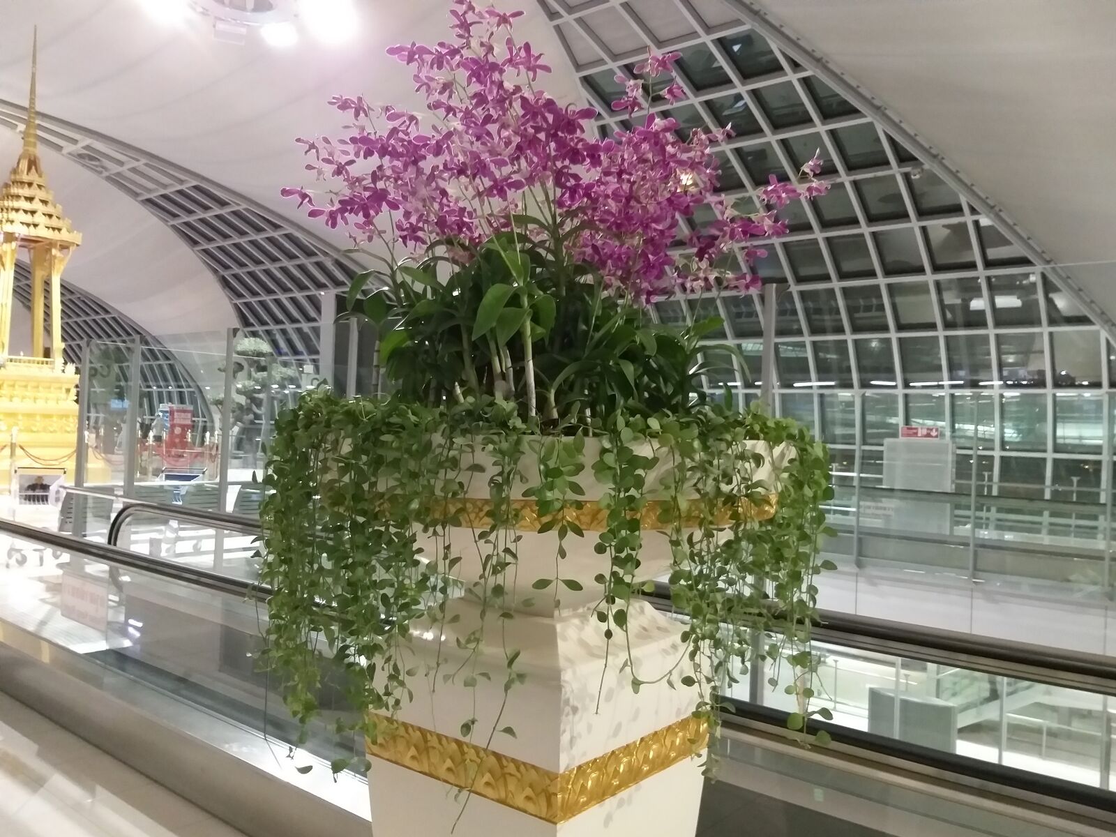Samsung Galaxy A6+ sample photo. Bangkok, airport, orchid photography