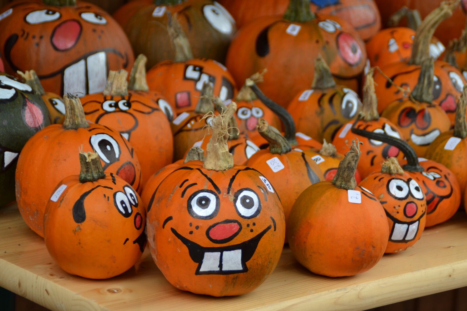 Nikon D3100 sample photo. Pumpkin, halloween, faces photography
