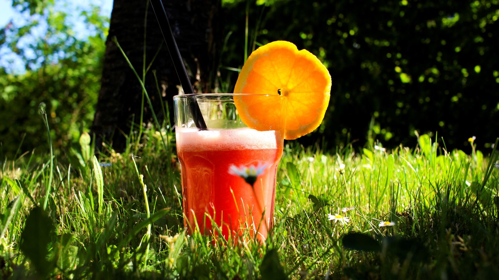 Canon EF-S 24mm F2.8 STM sample photo. Smoothie, refreshment, summer photography