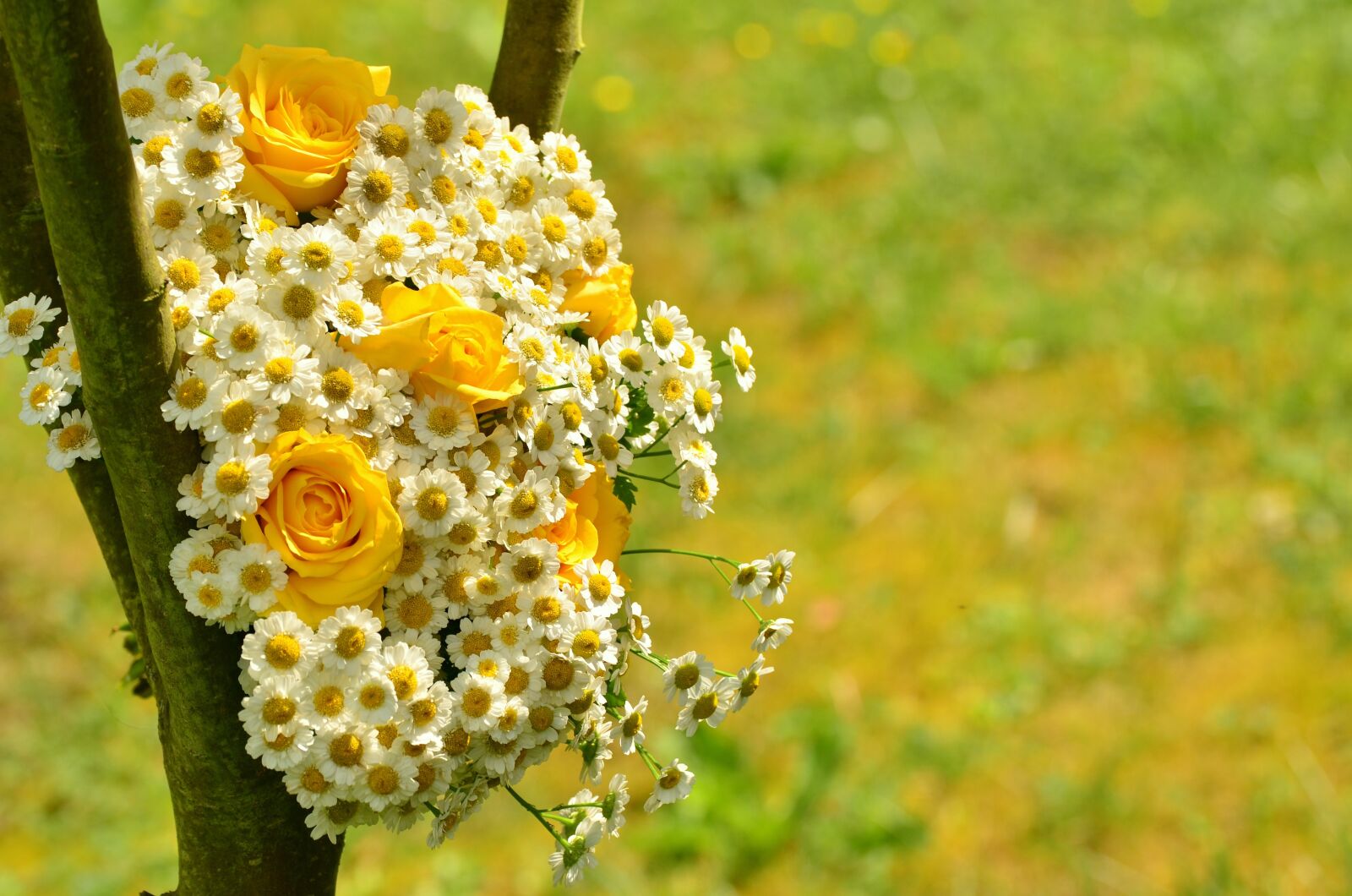 Nikon D5100 sample photo. Bouquet, roses, yellow roses photography