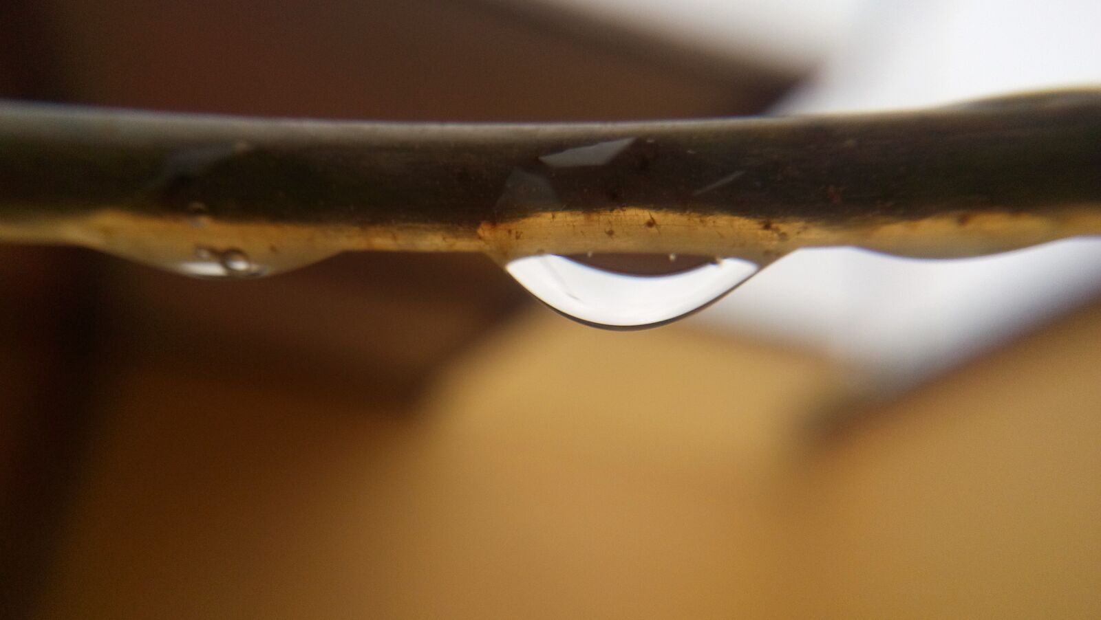 LG LBello sample photo. Water, drop, cable photography