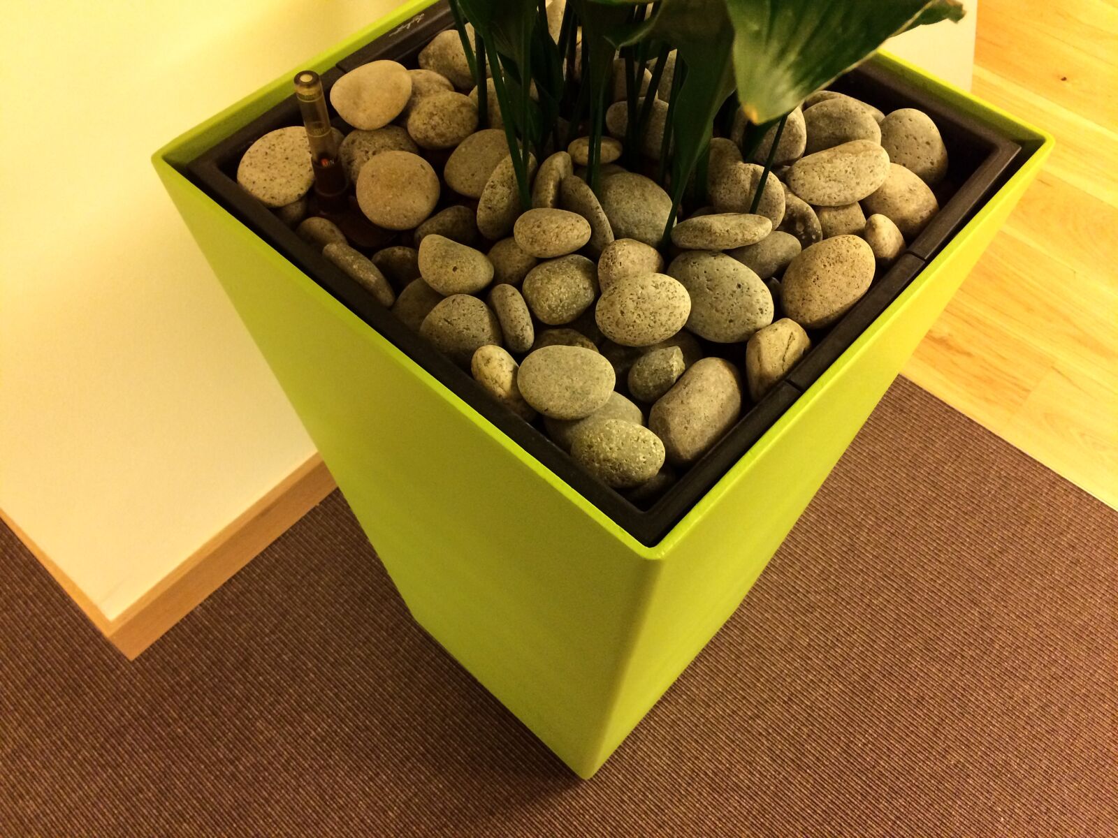 Apple iPhone 5s sample photo. Flowerpot, pebbles, bucket photography