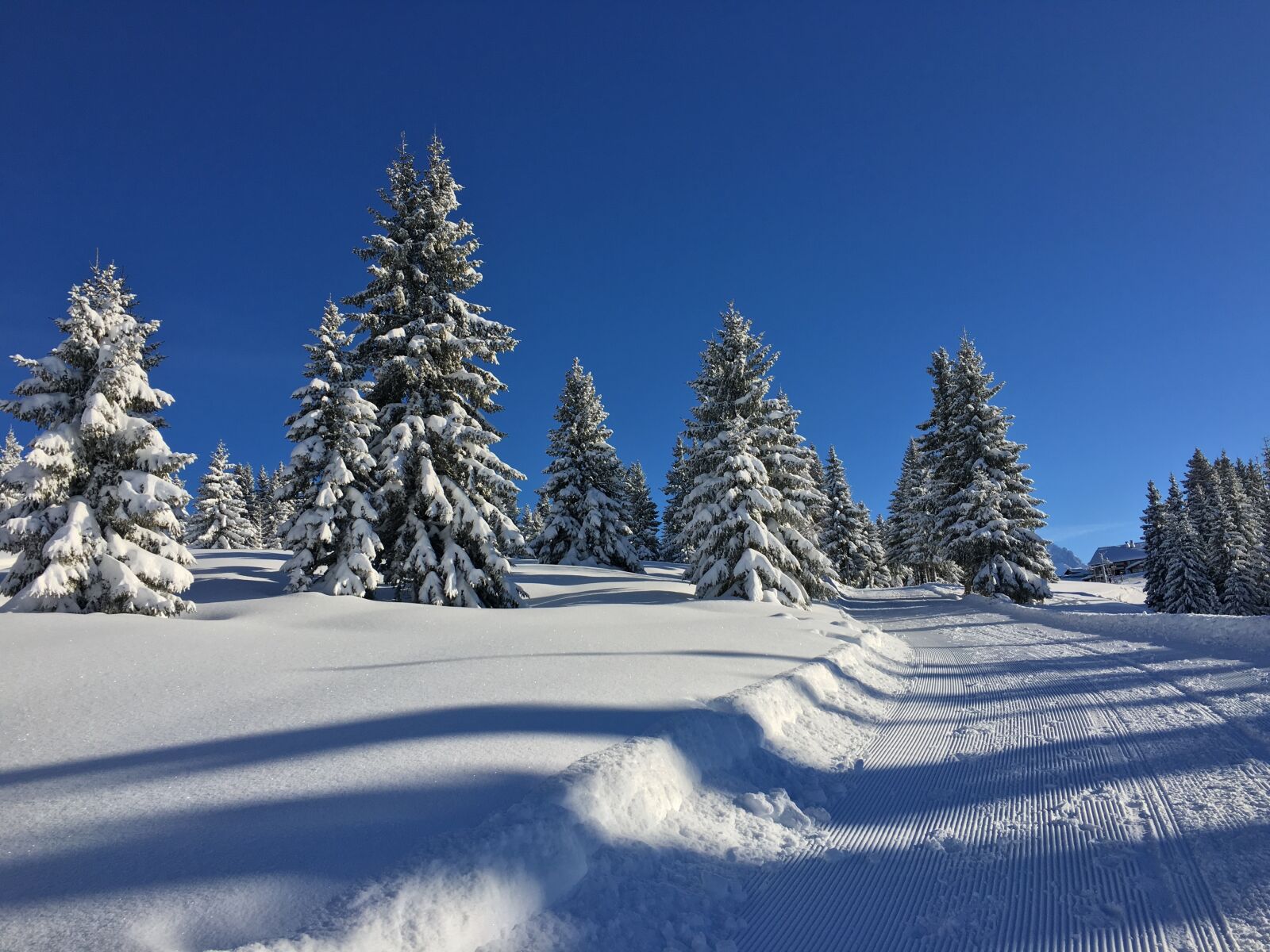 Apple iPhone 6s sample photo. Mountain, snow, nature photography