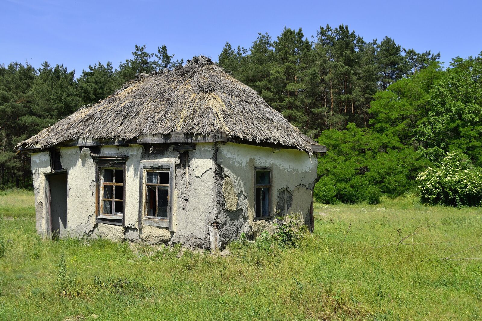 Nikon D3100 sample photo. The ruins of the photography