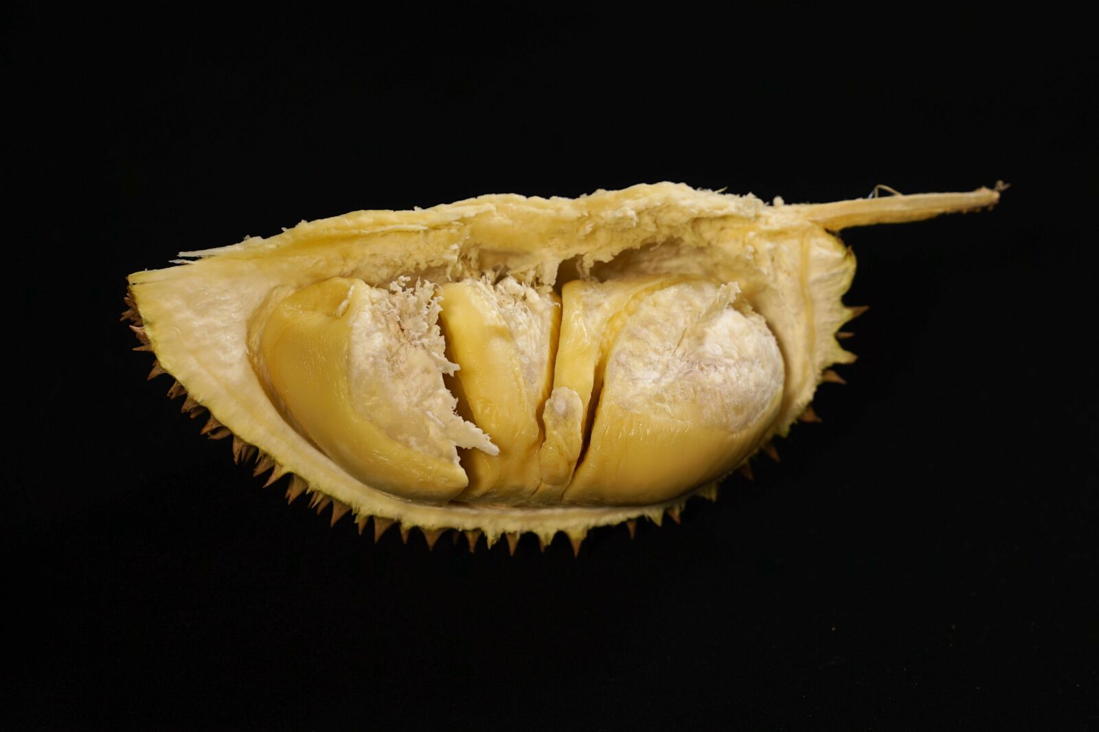 Sony a7S + Sony FE 24-70mm F2.8 GM sample photo. Durian fruit, king of photography