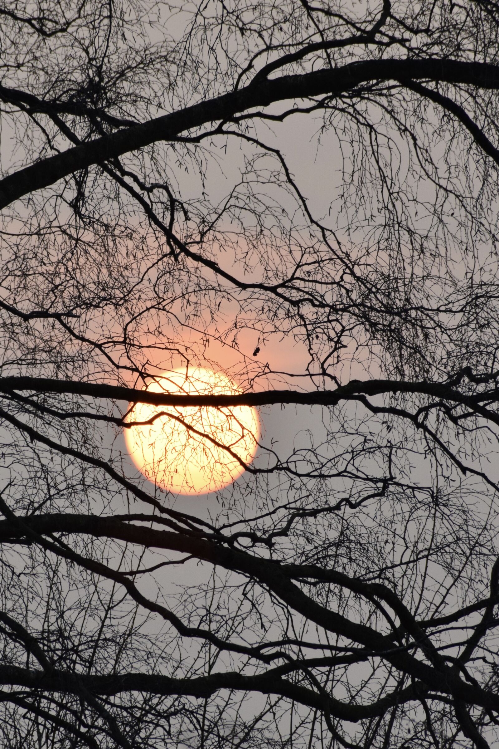 Nikon D5300 sample photo. Easter, moon, dawn photography