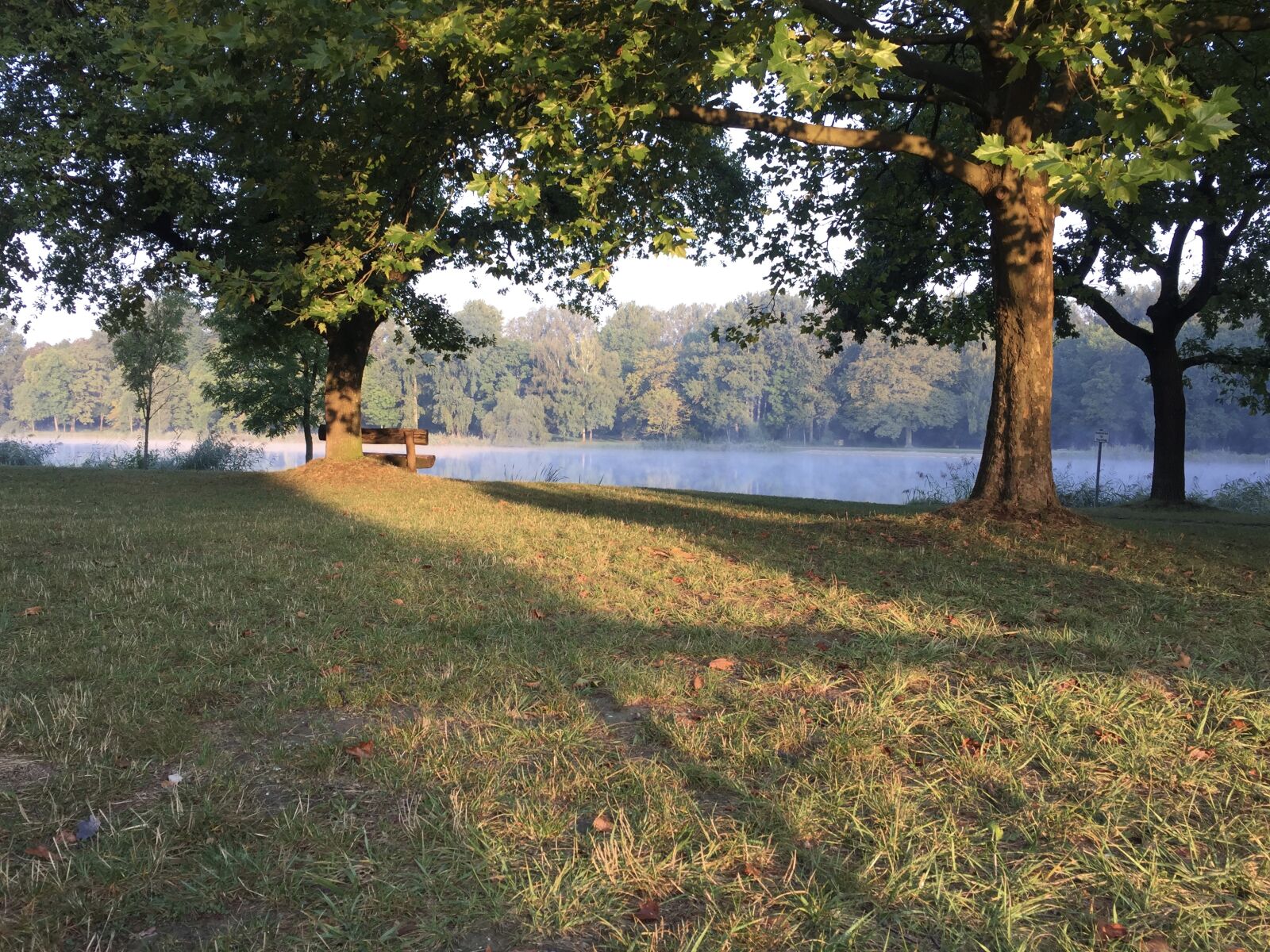 iPhone 6 Plus back camera 4.15mm f/2.2 sample photo. See photography