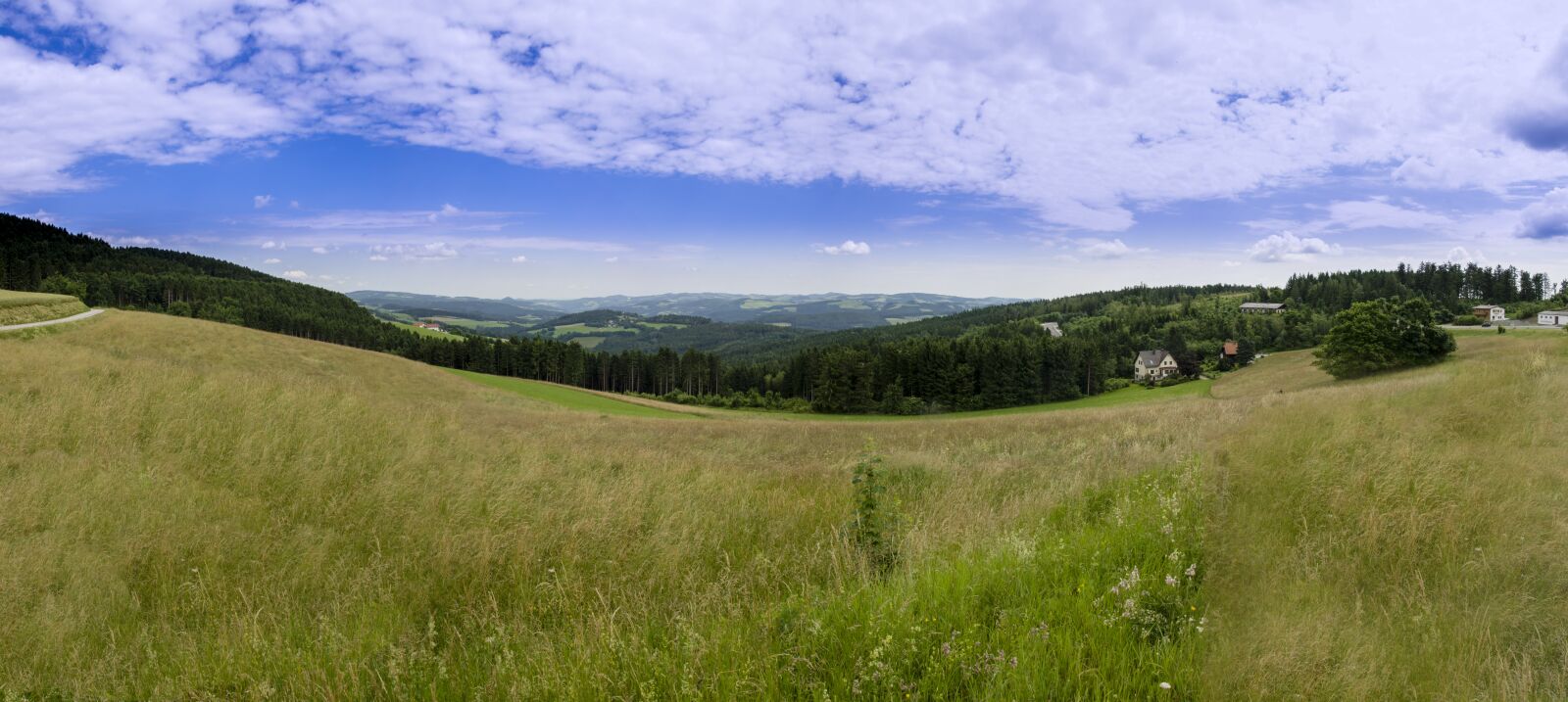 Nikon D7000 sample photo. Panorama, austria, path photography