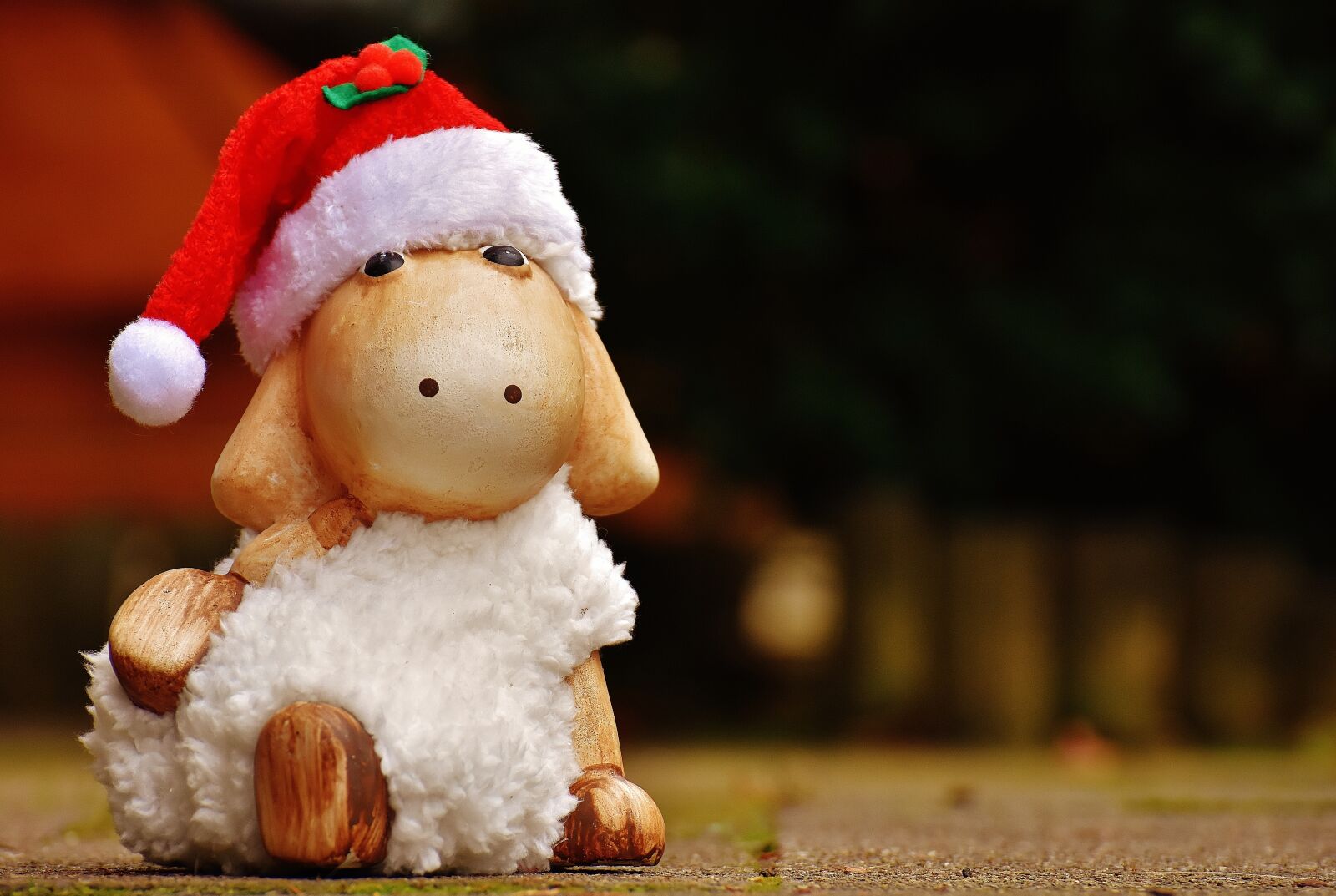Nikon D7200 sample photo. Christmas, sheep, deco photography