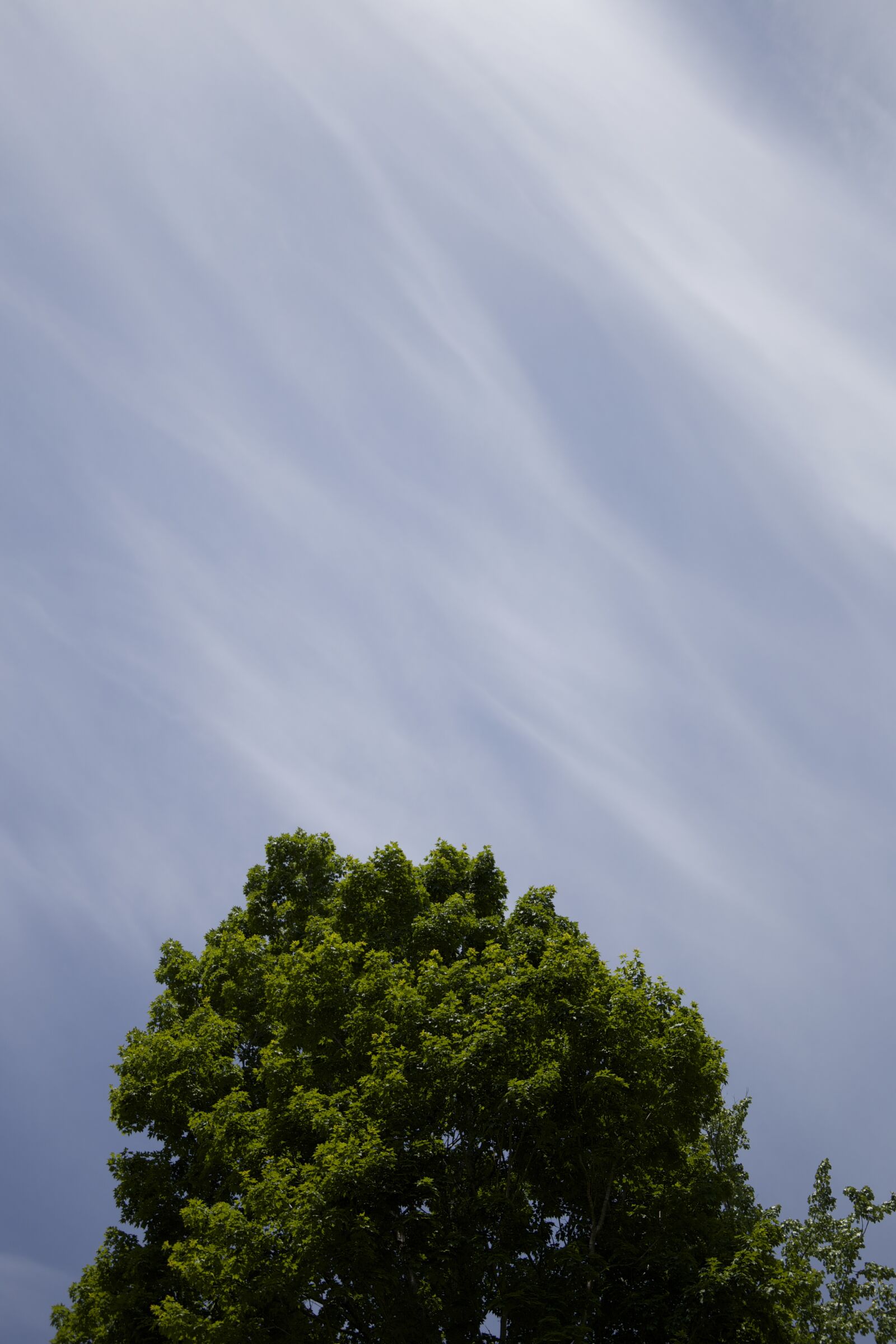 Canon EOS 6D sample photo. Clouds, sky, trees photography