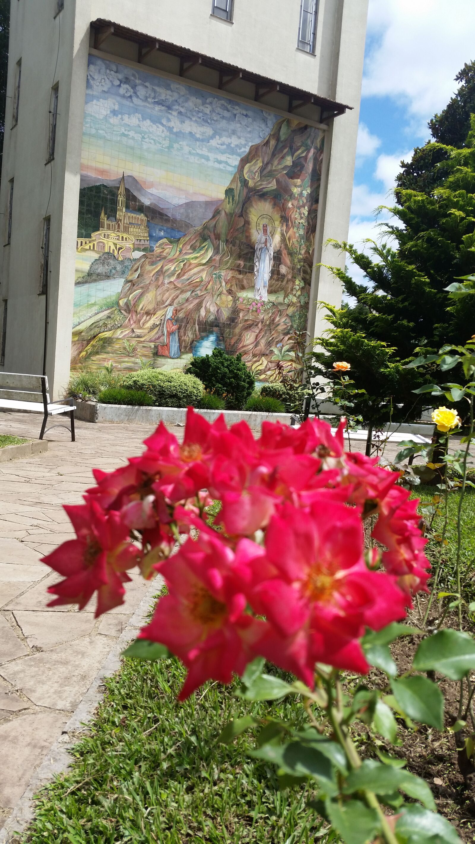 Samsung Galaxy S5 sample photo. Landscape, nature, flower photography