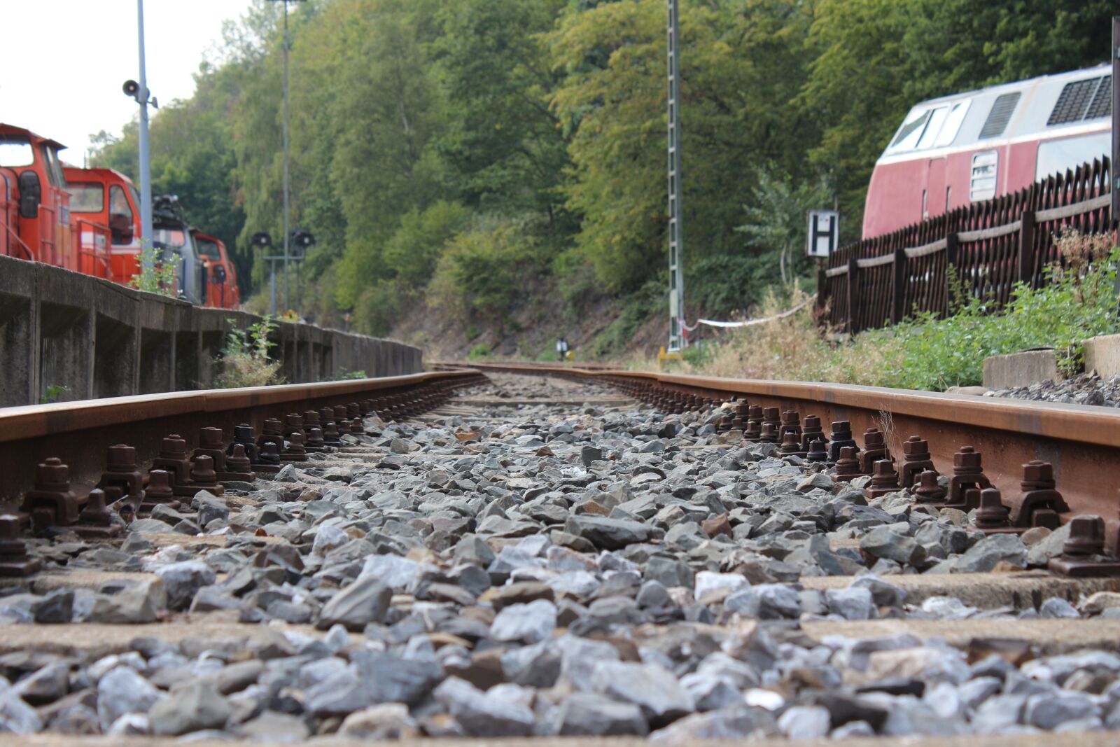 Canon EF-S 18-55mm F3.5-5.6 IS sample photo. Railway, dare, train photography