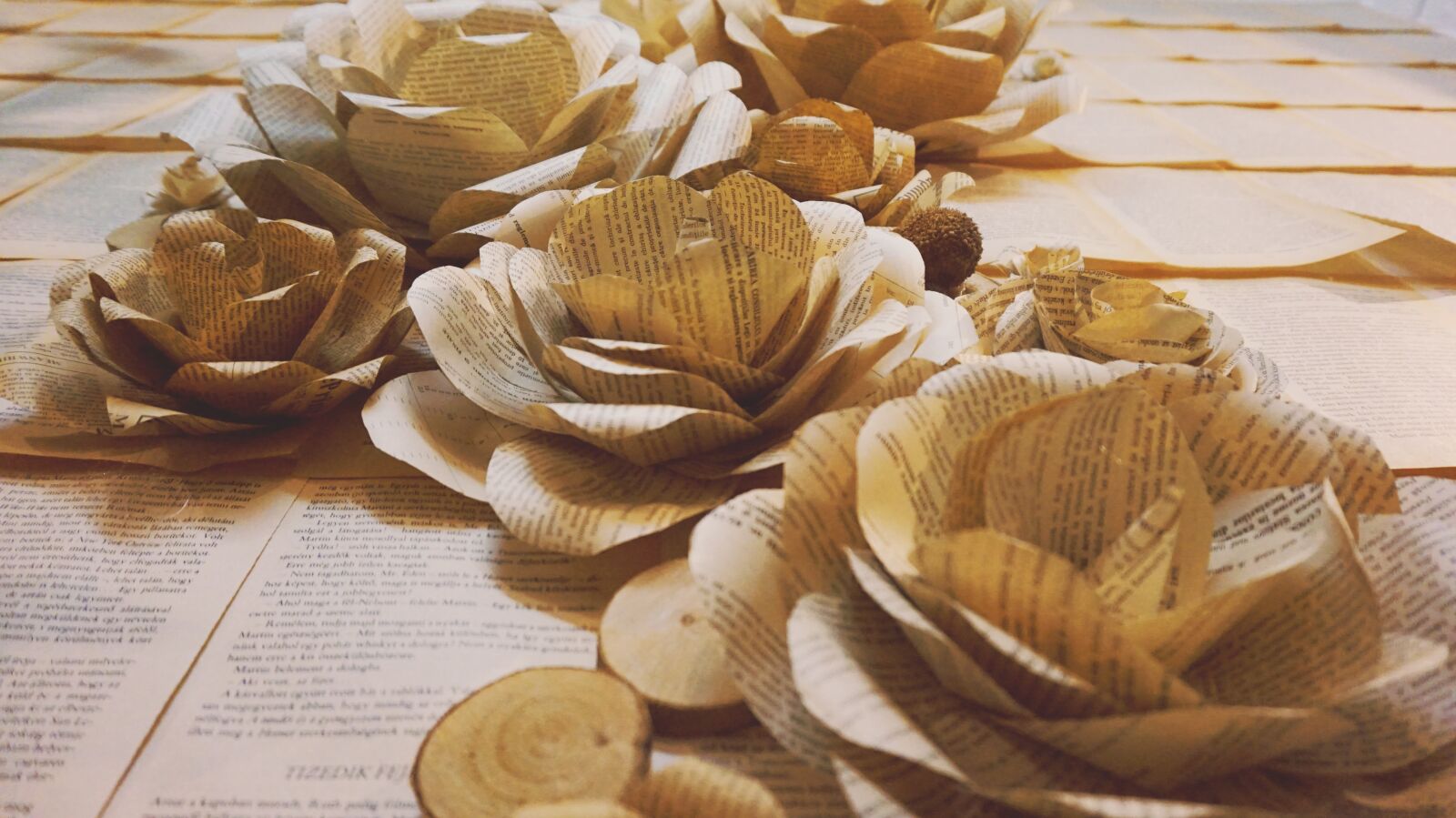 Sony Alpha a5000 (ILCE 5000) sample photo. Paper flowers, wall flowers photography
